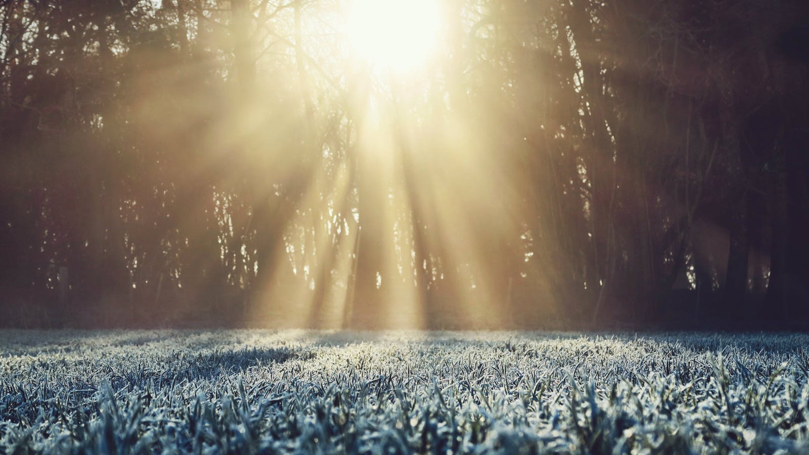 A Broken and Contrite Heart God Will Not Despise a broken and contrite heart god will not despise 0kwqadxt