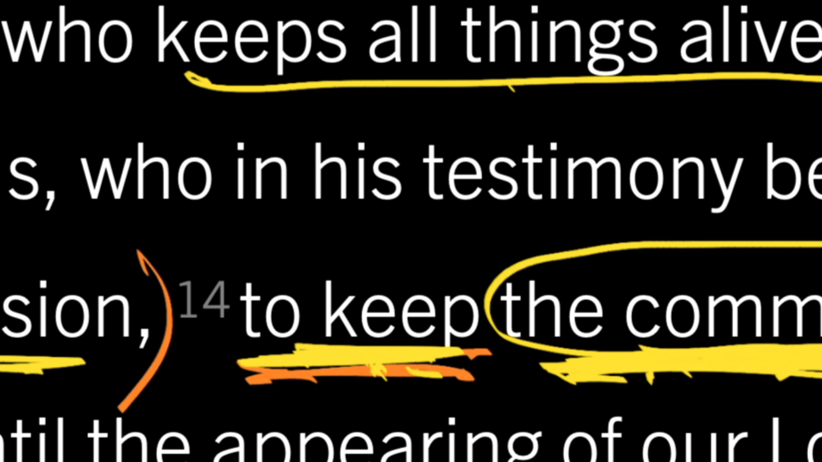 A Call to Courageous Ministry: 1 Timothy 6:13–16, Part 1