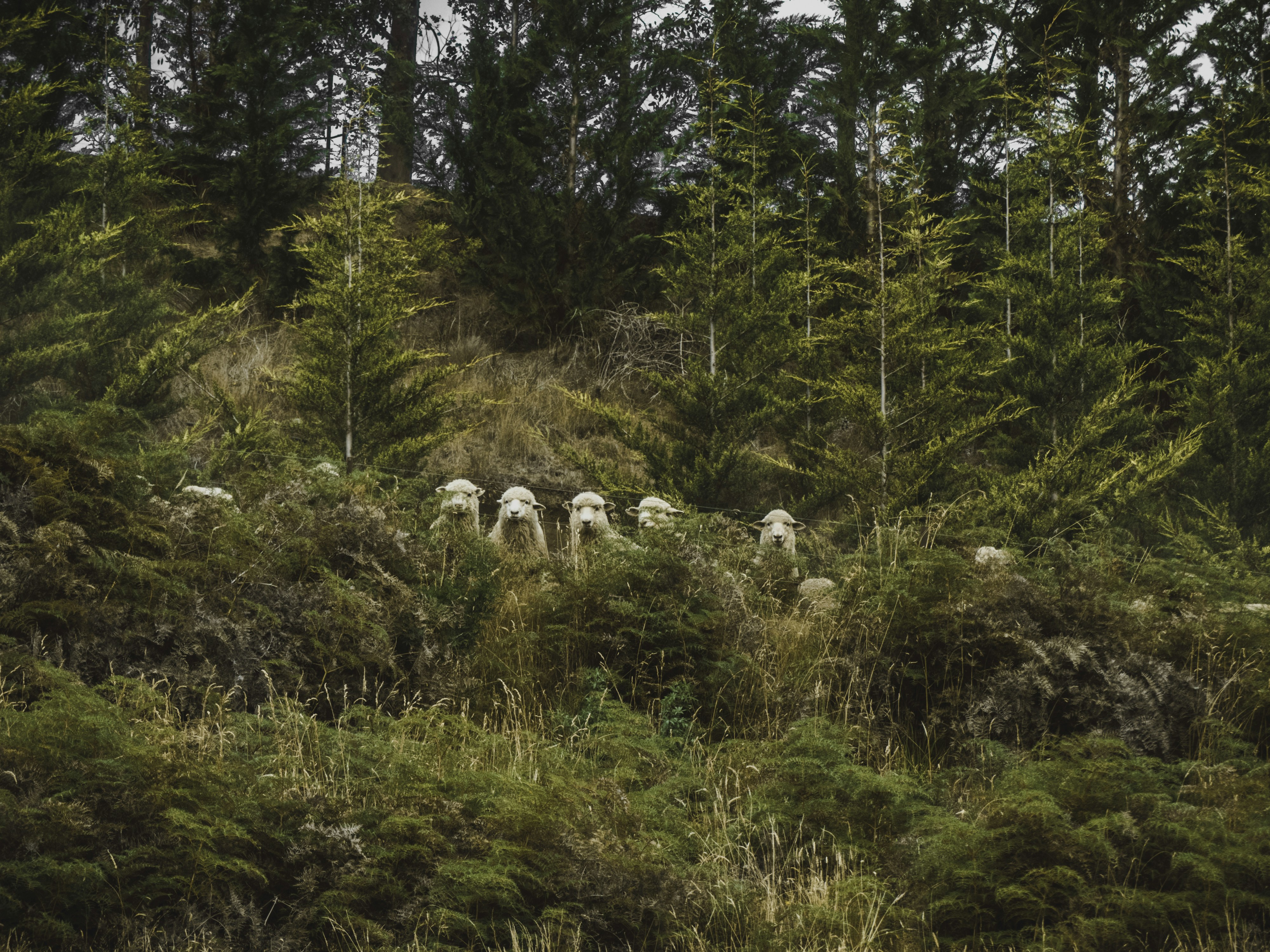 A Shy Guy’s Guide to Big Groups