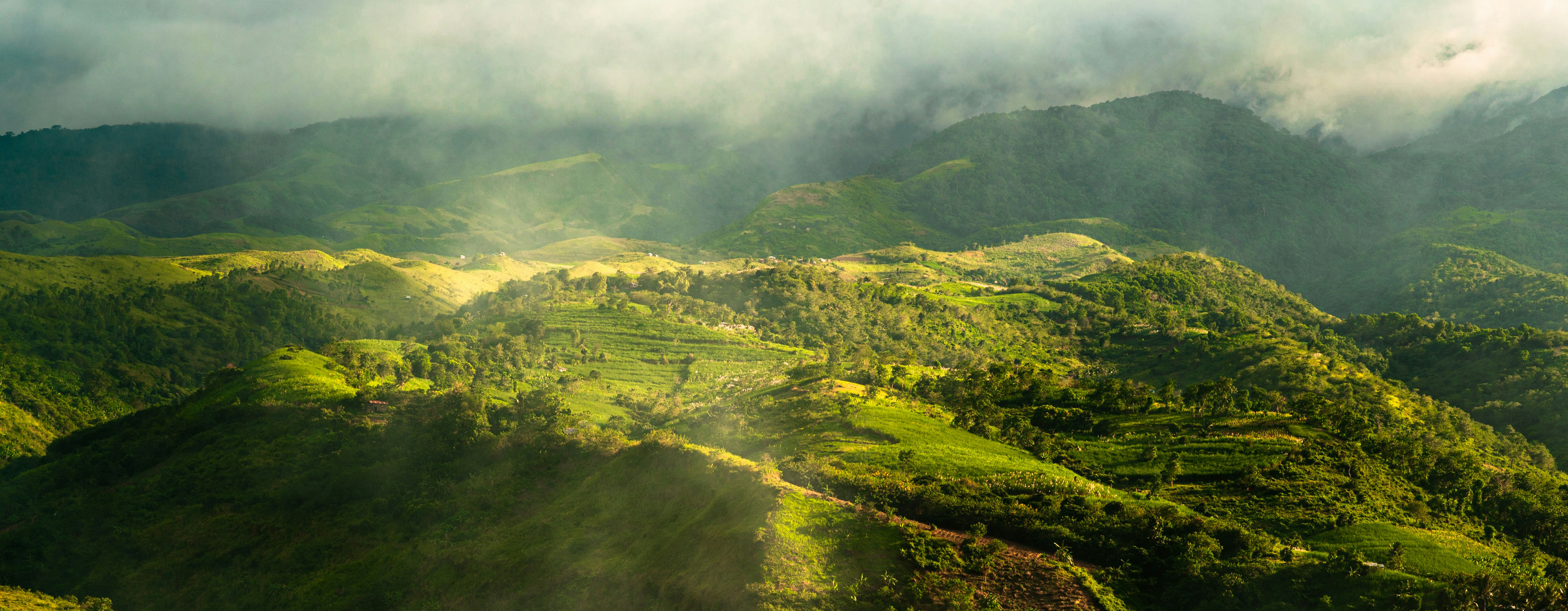 Jesus Will Gather the Scattered: Zephaniah’s Vision of the Global Church