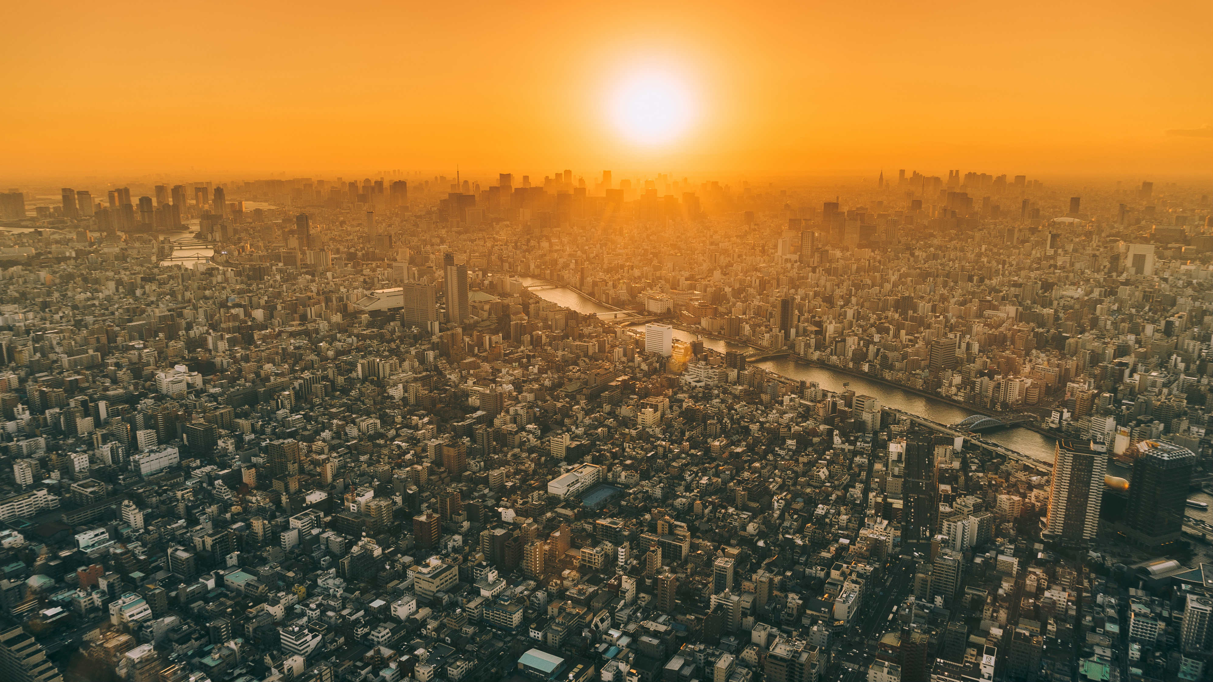 All Things Were Created Through Him and for Him