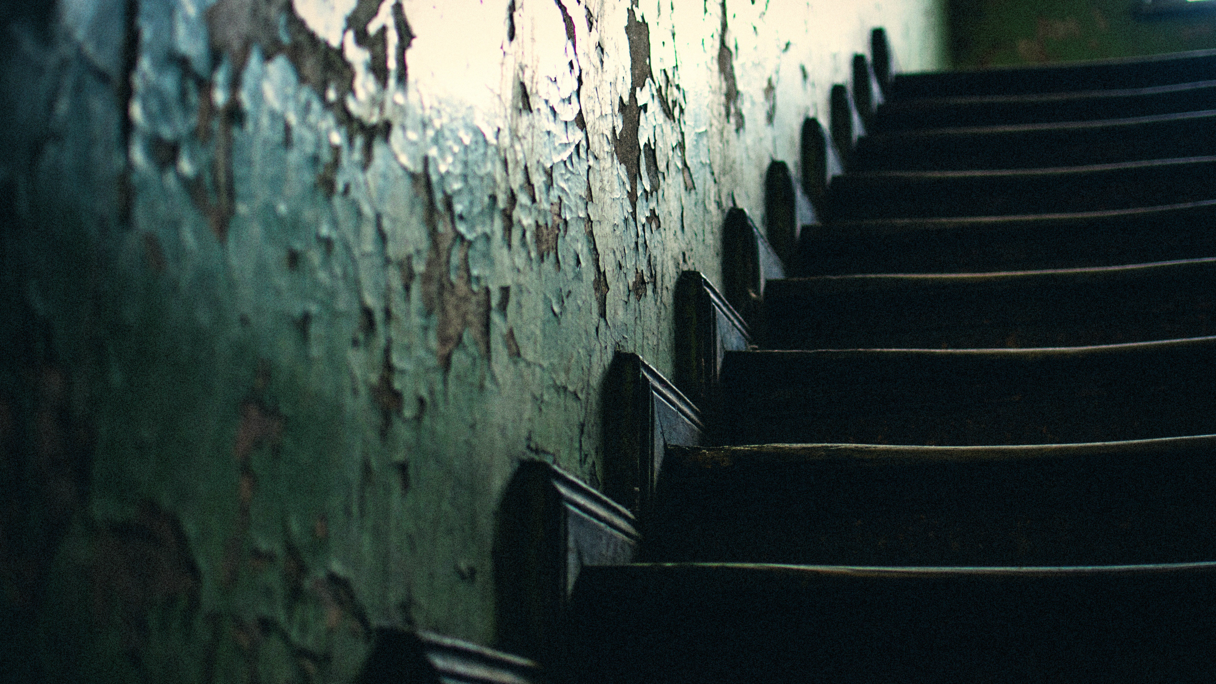 An Assassin in American Christianity
