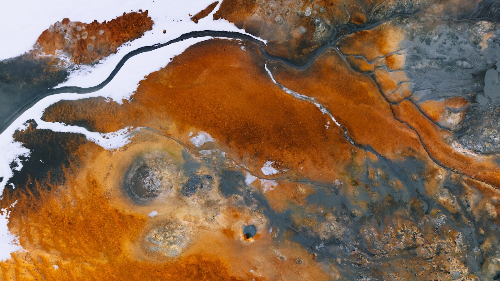 Apostles in Arms: The Unity and Teamwork of the New Testament Letters