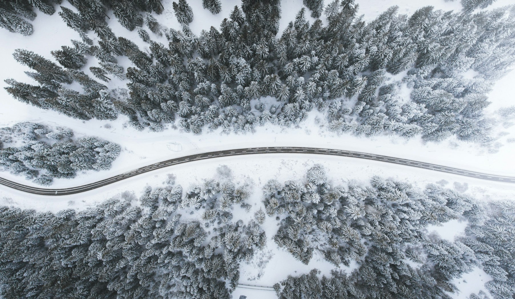 Beloved Roads to Bethlehem: Tracing Names of Jesus to Christmas ...