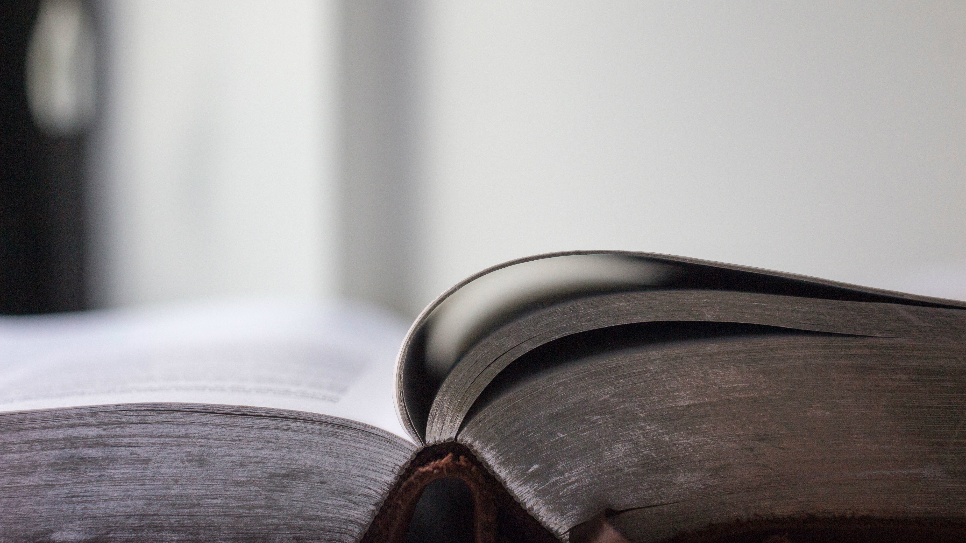 Bible Reading Is an Art