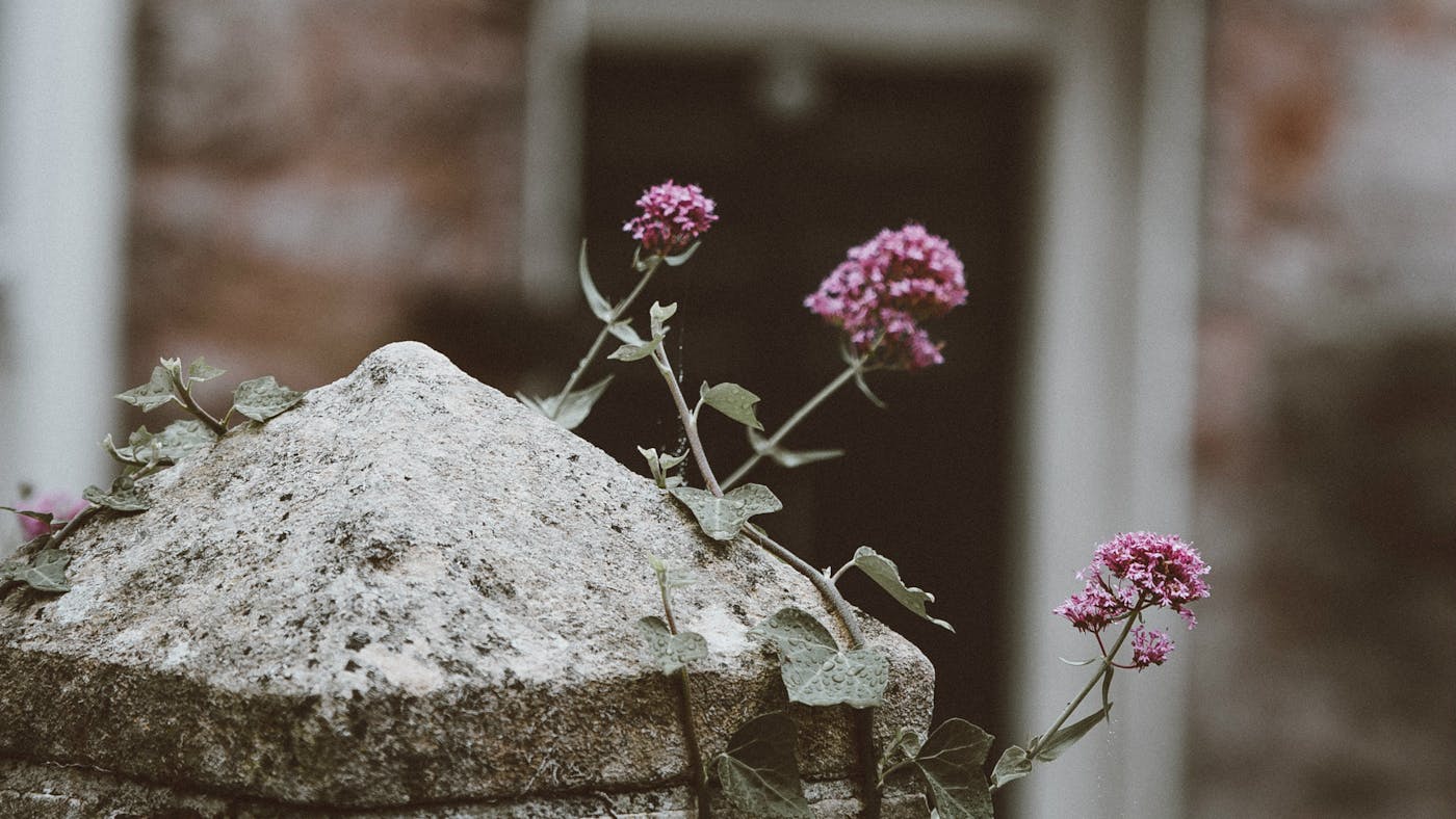 Blessed Are The Poor In Spirit Who Mourn Desiring God