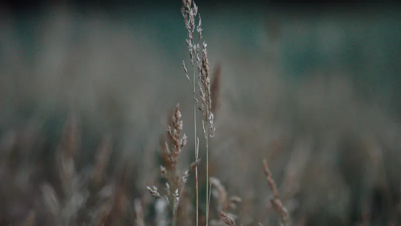 Brave Words with a Broken Heart