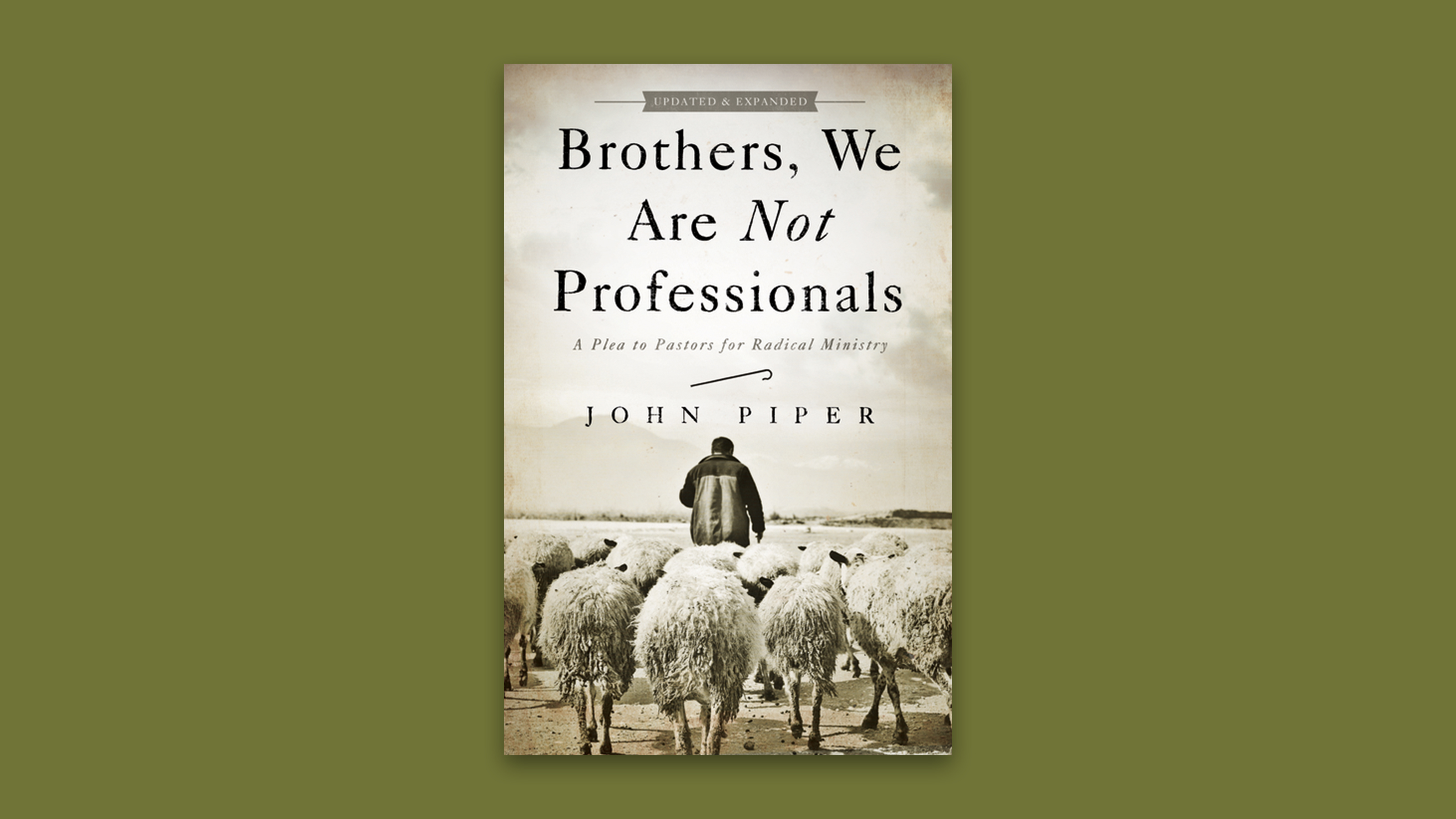 Brothers, We Are Not Professionals