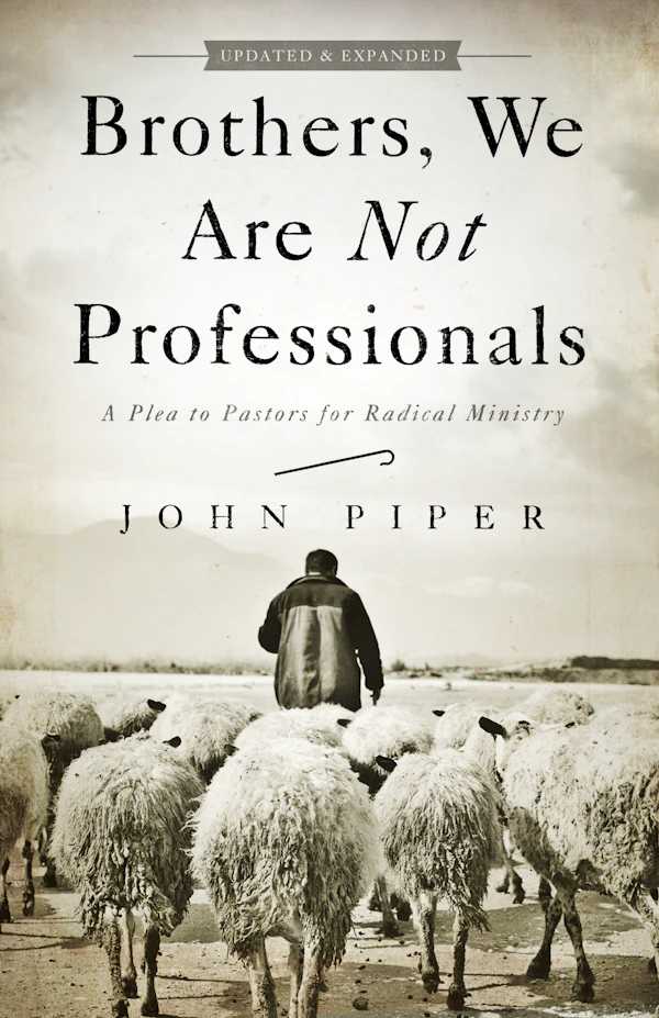 Brothers, We Are Not Professionals