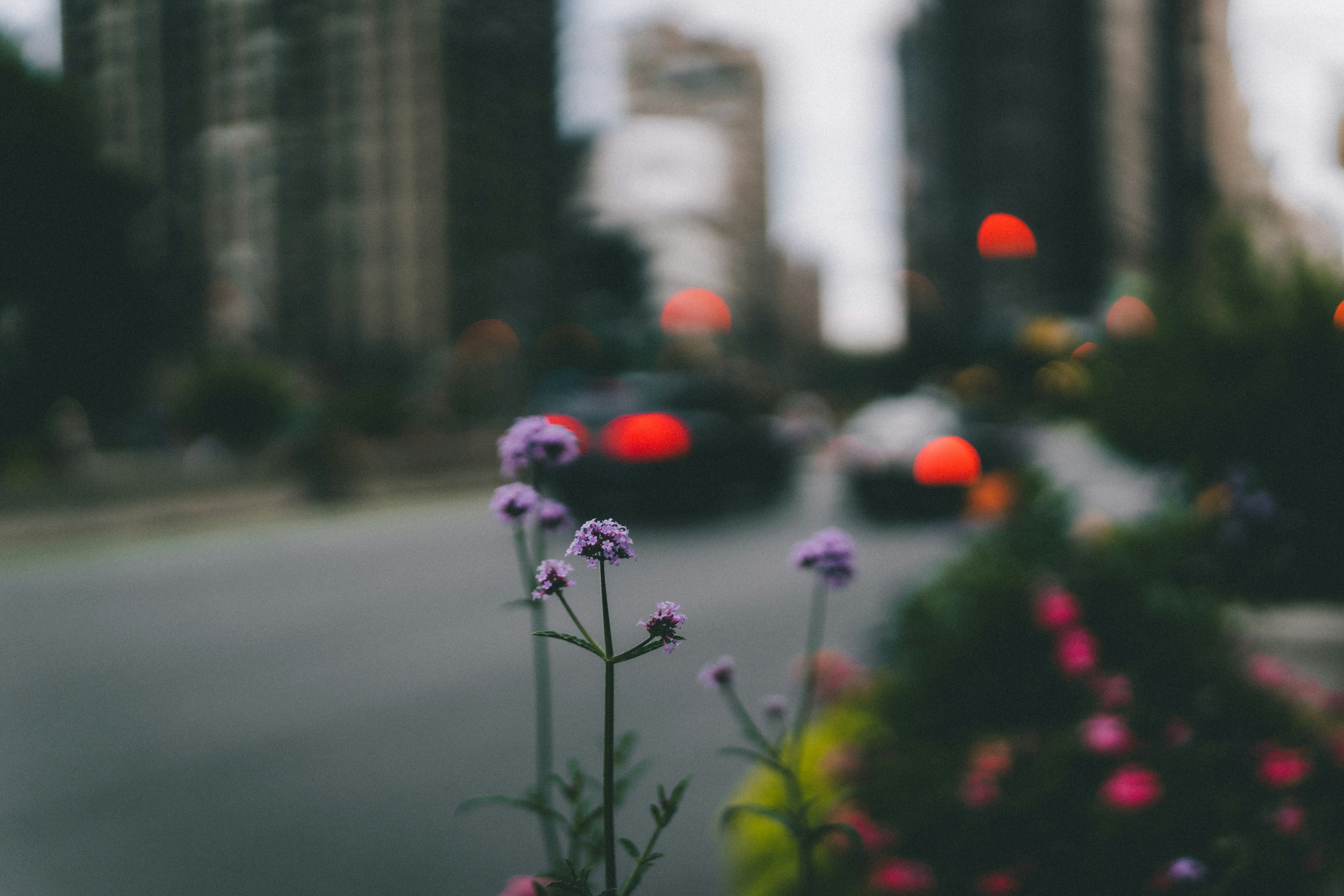 Defeating Daily Anxiety