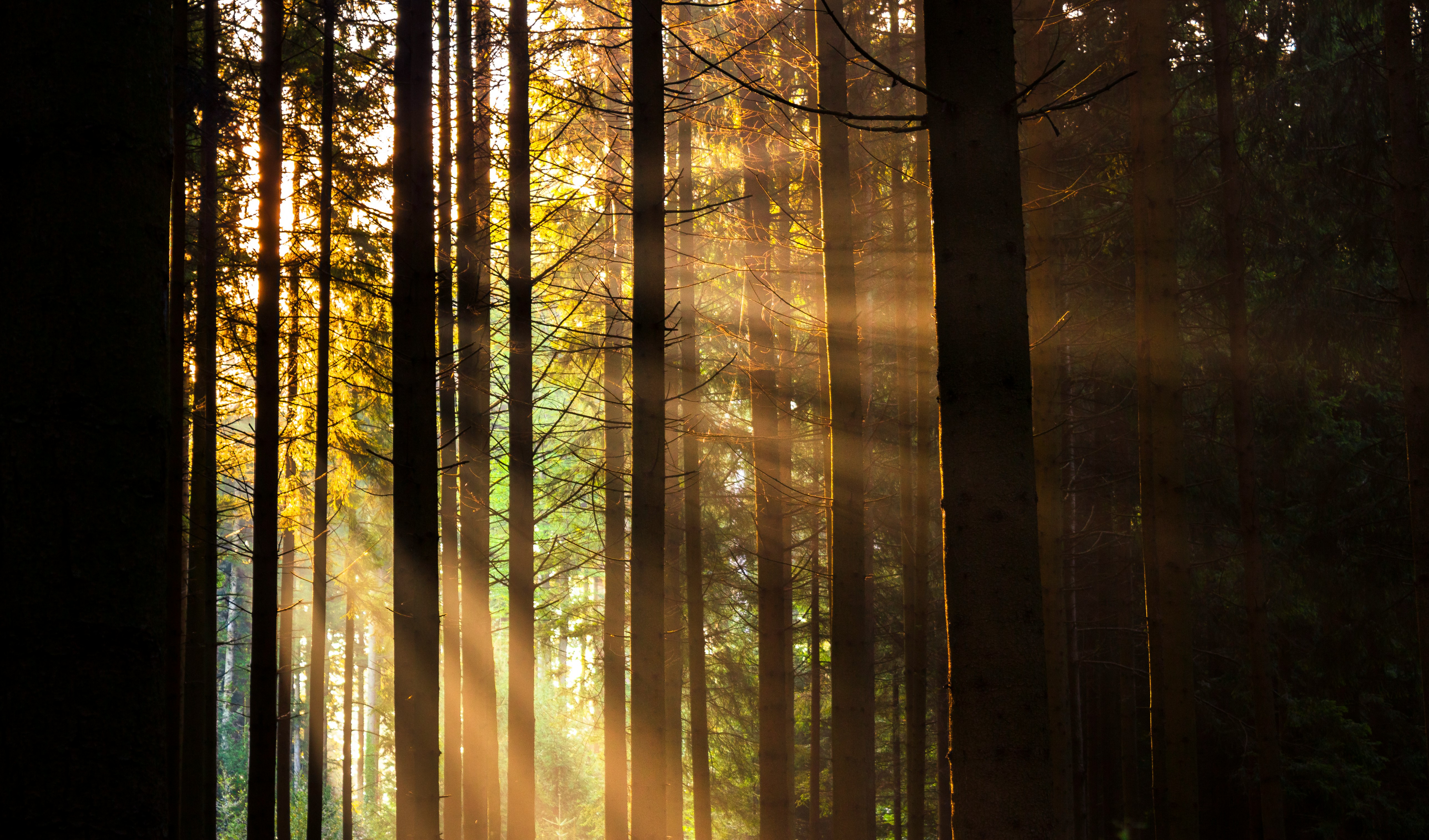 Delighting in a Holy God