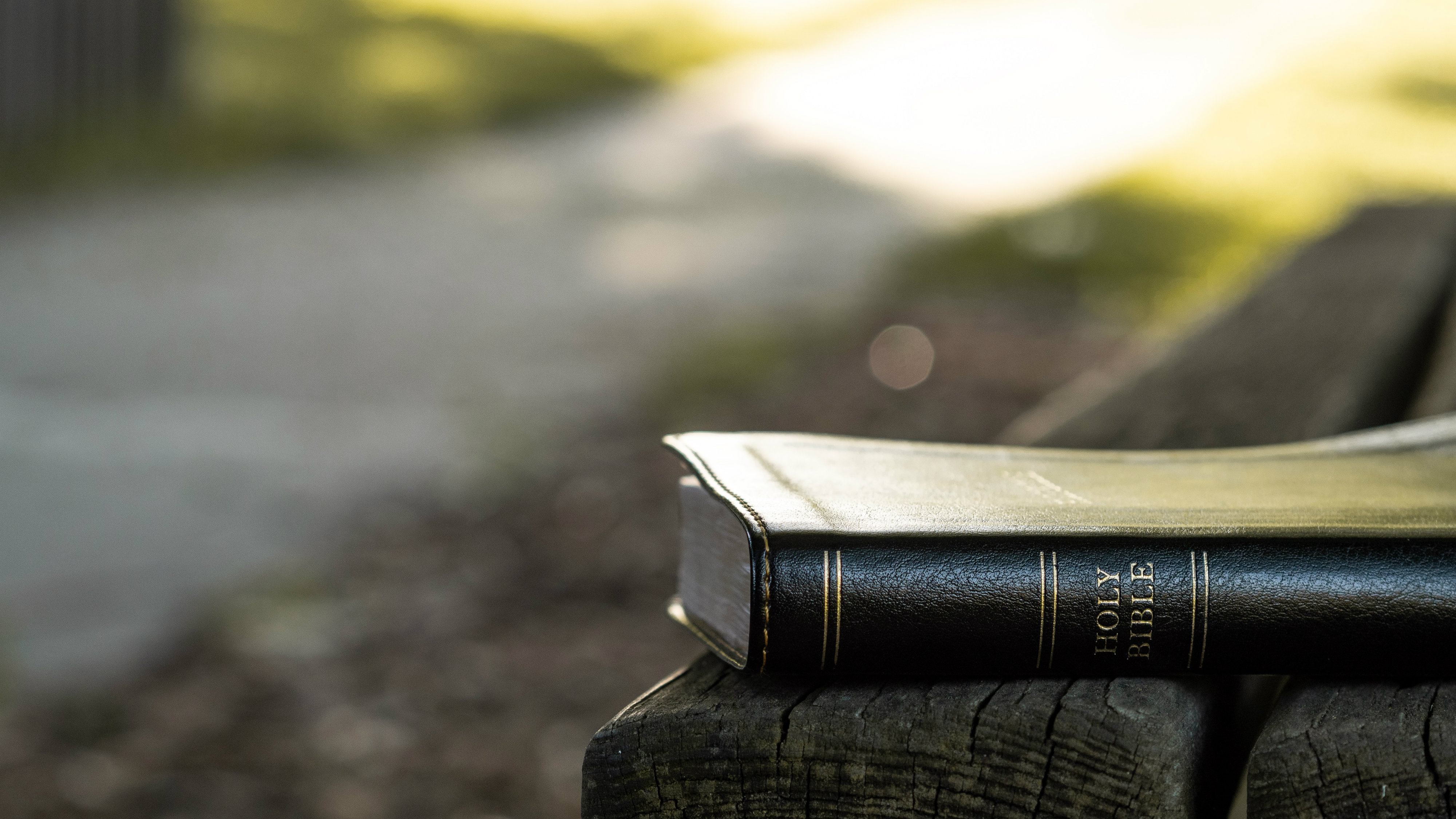 Image result for Bible