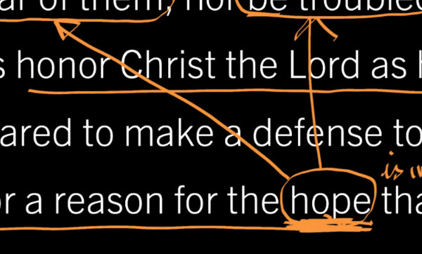 Labs On The Christian Life Desiring God