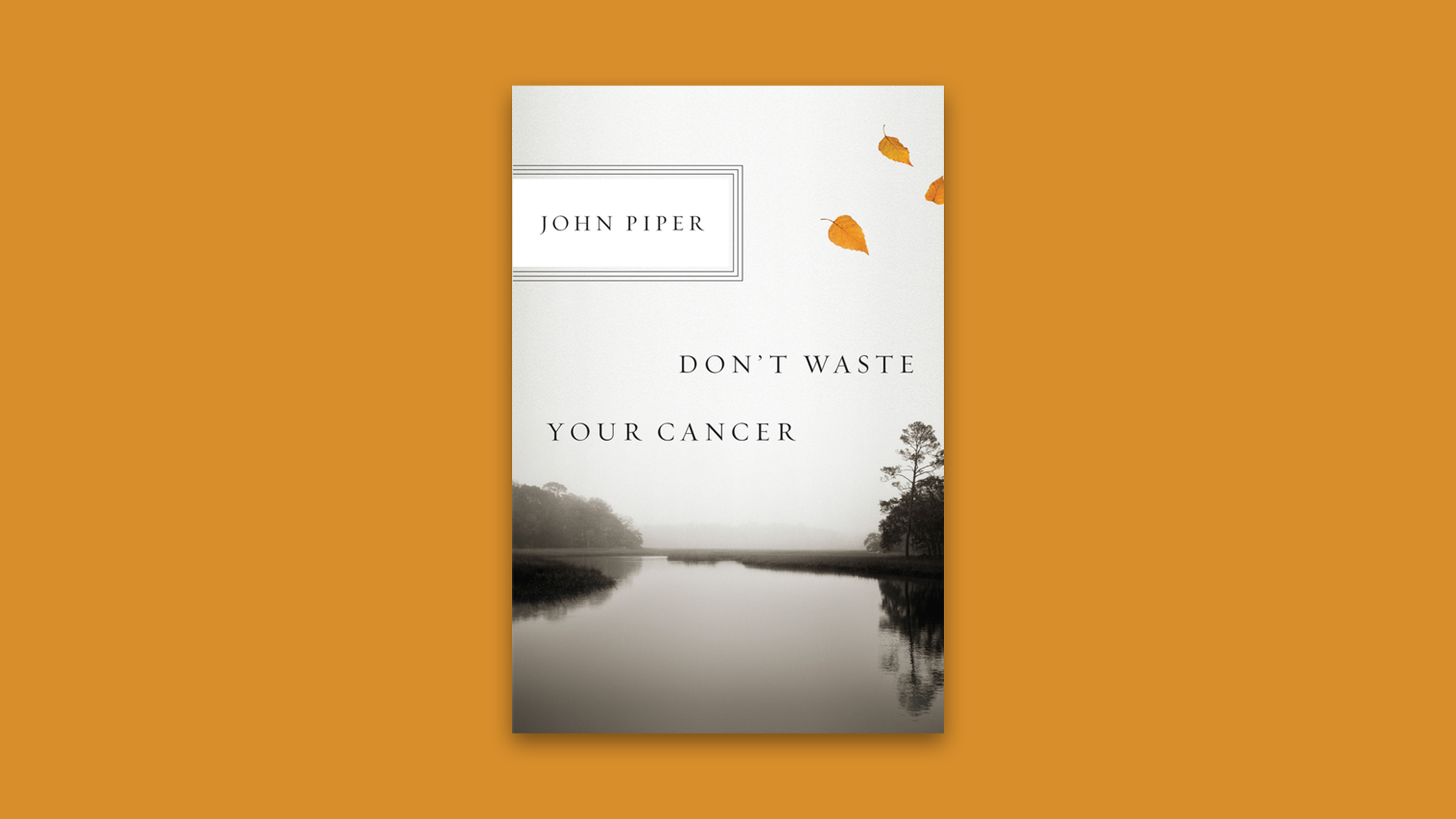 Don’t Waste Your Cancer