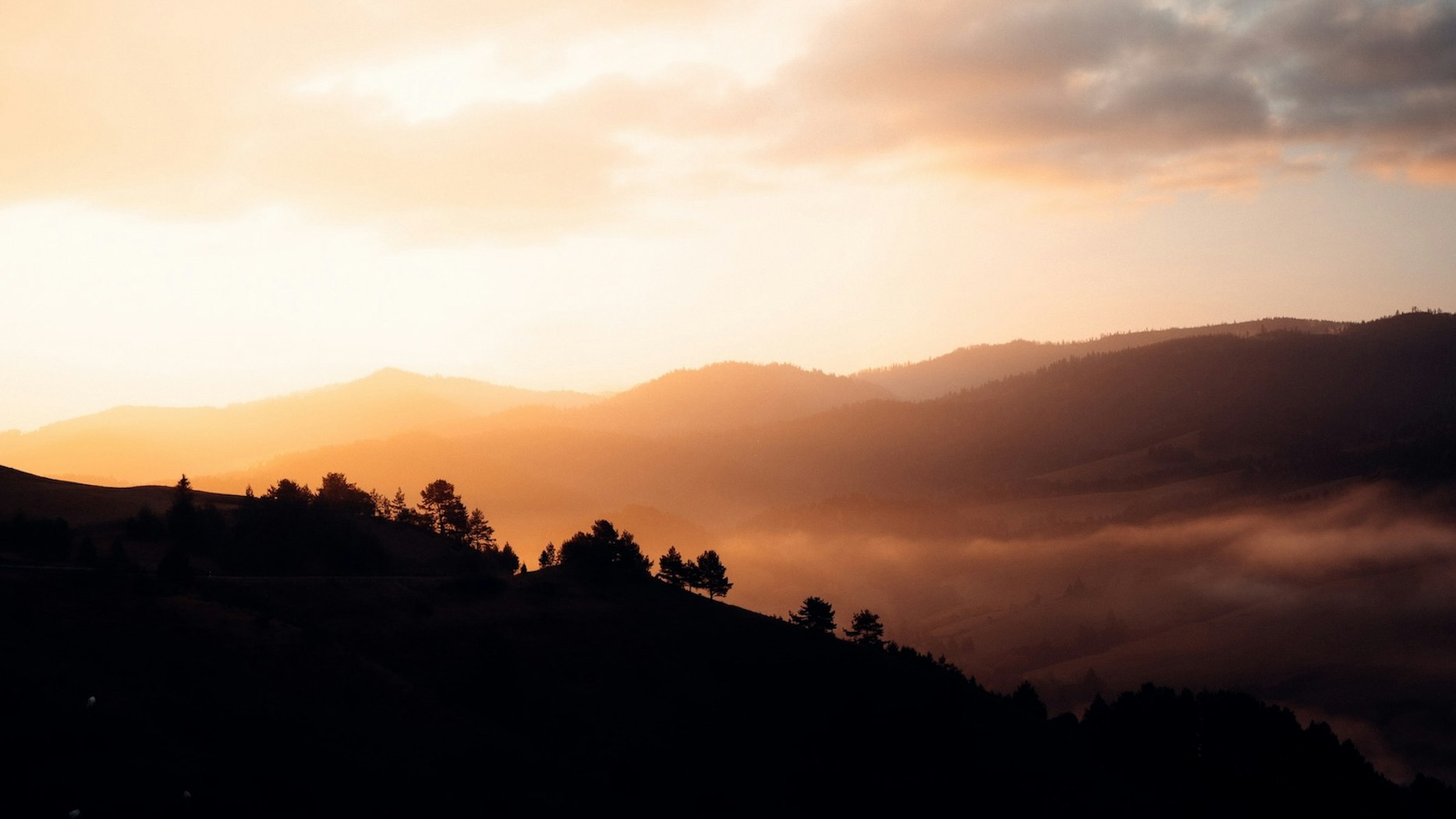 Earthly Loss Is Heavenly Gain: The Rewards of Faithful Suffering - Vimarsana News