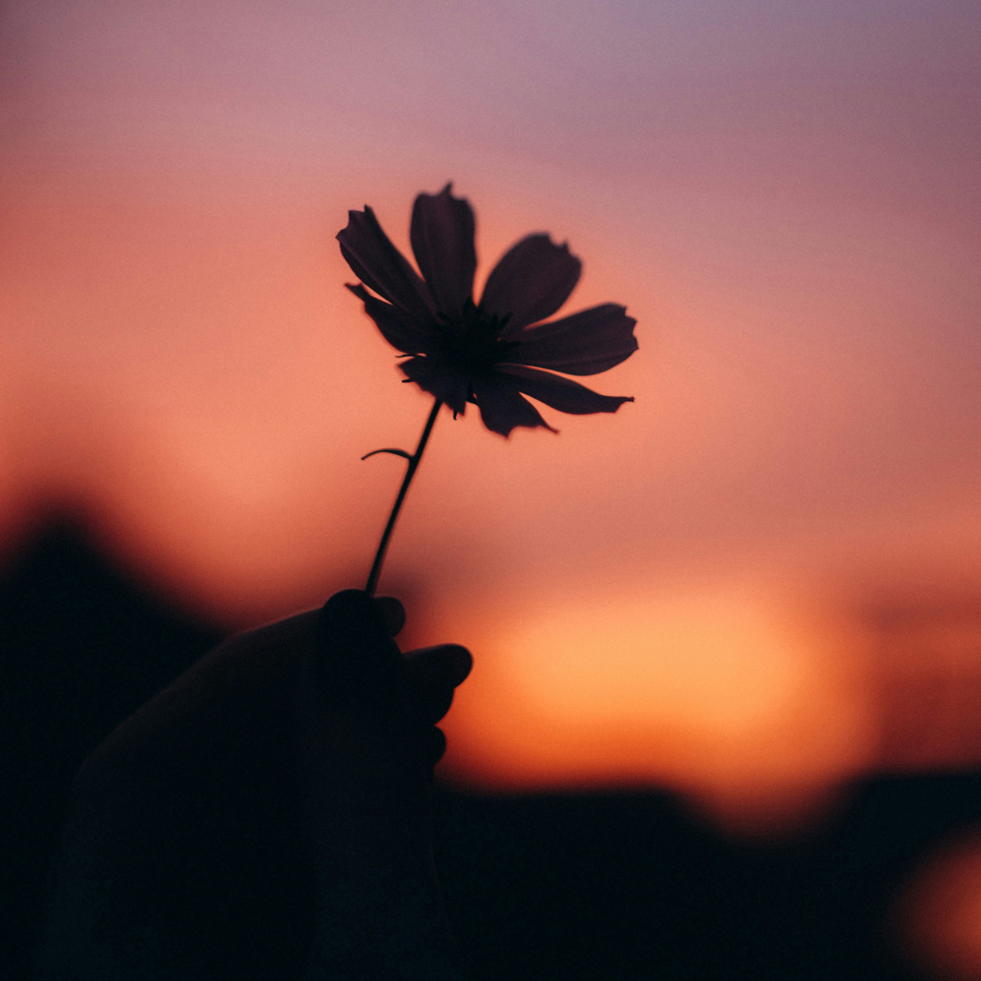 Every Pinch of Pain Has Purpose