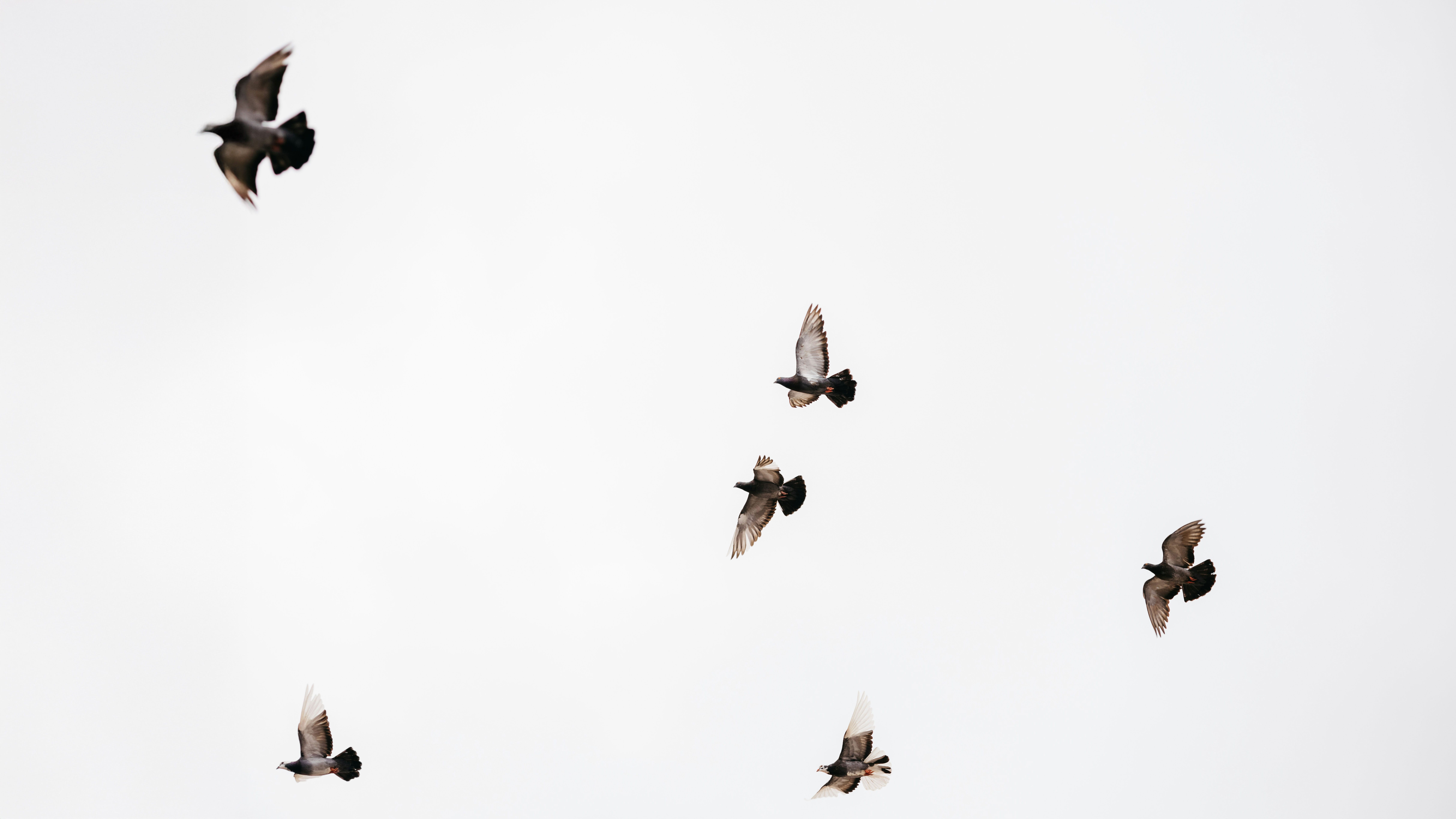 Everything Happens for a Reason