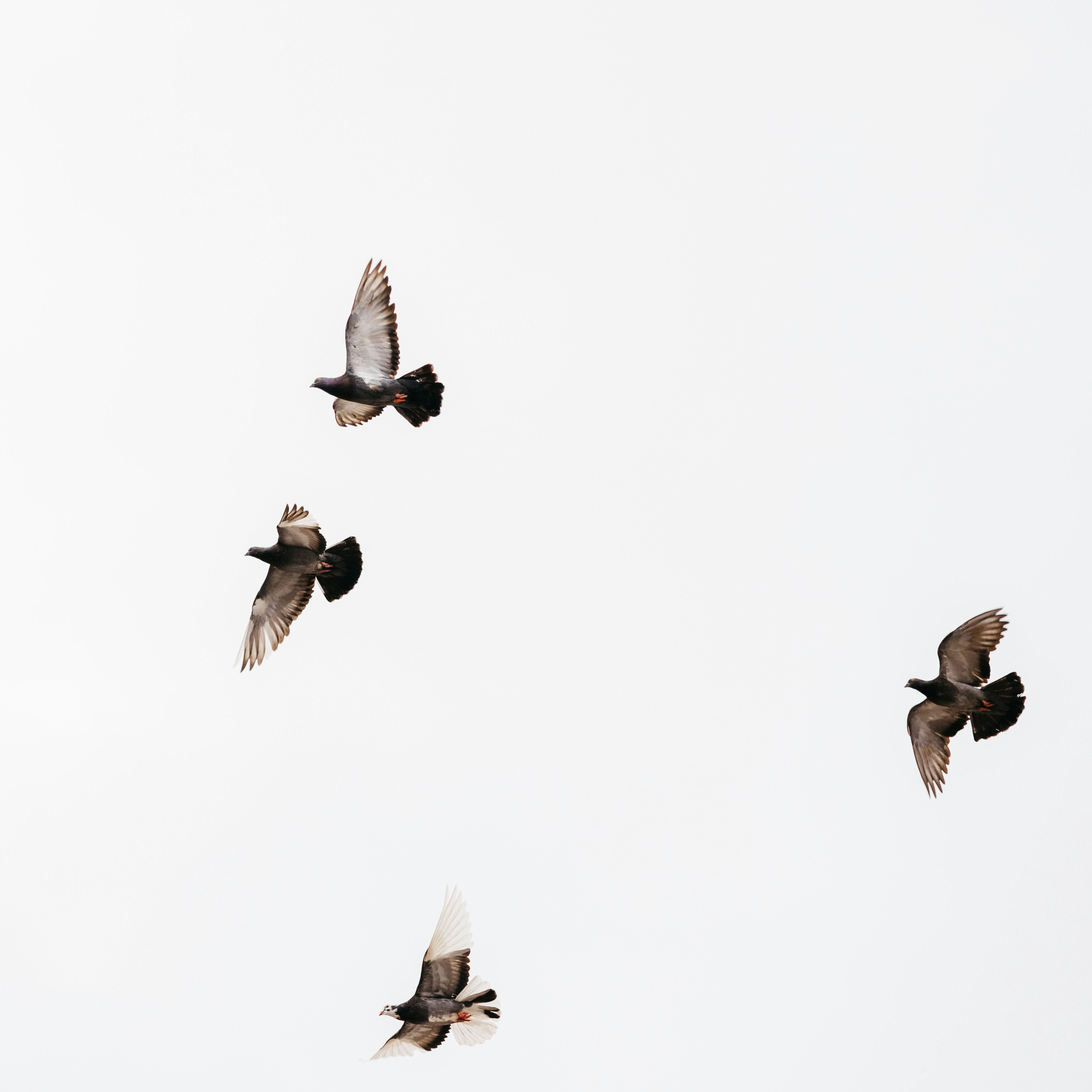 Everything Happens for a Reason