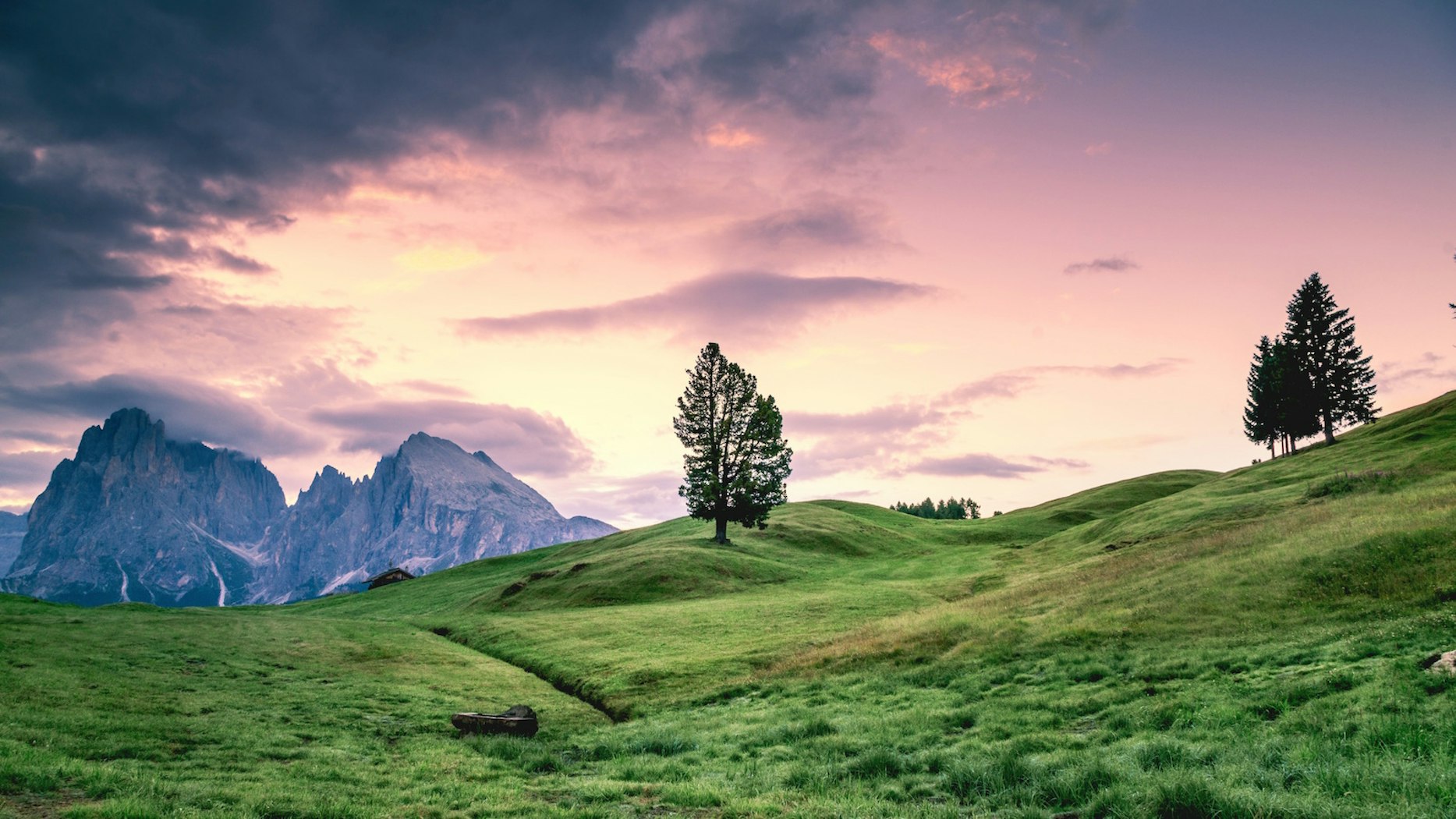 Fighting Words Desiring God