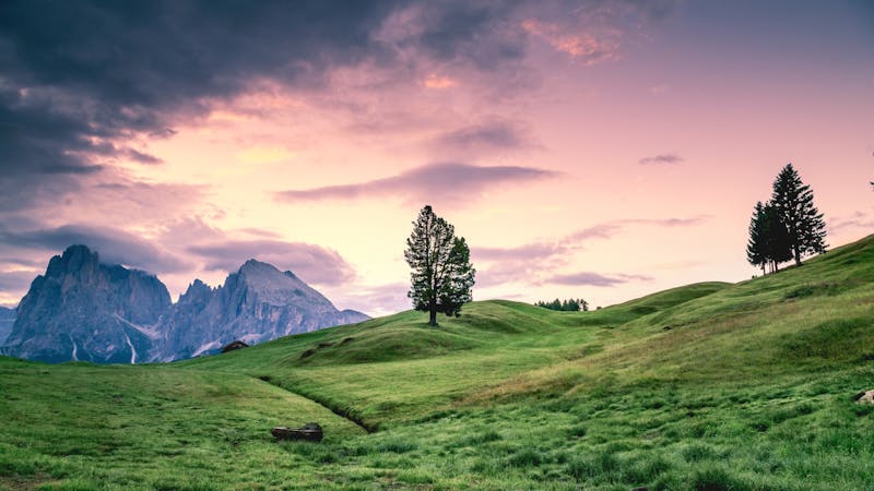 Fighting Words Fighting Words