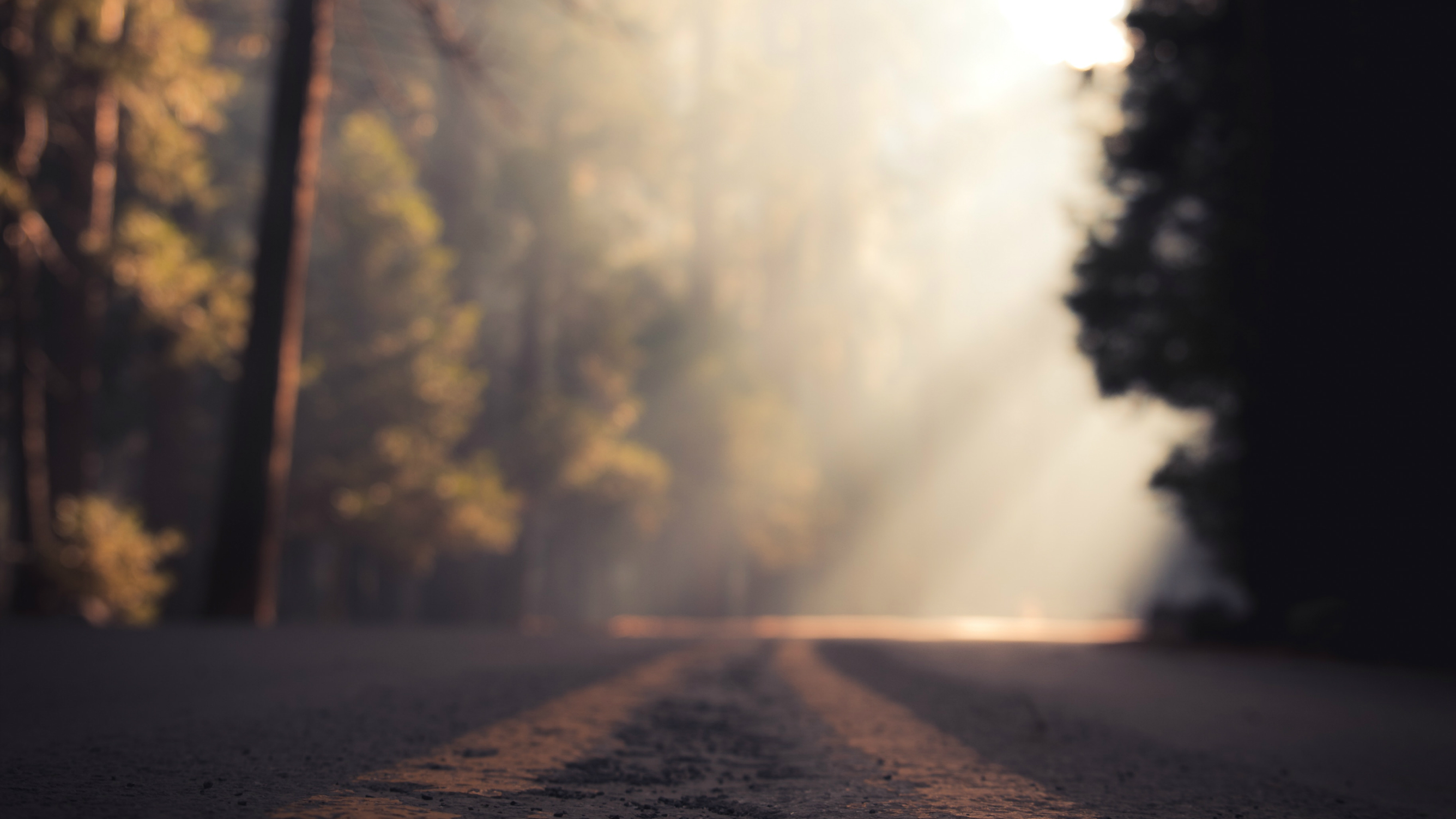 Follow Wisdom, Find Life