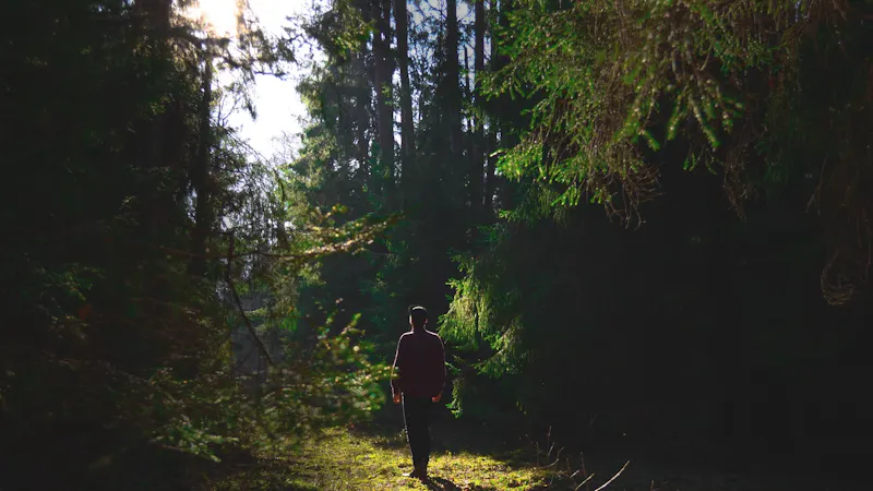 For Single Men And Women And The Rest Of Us Desiring God