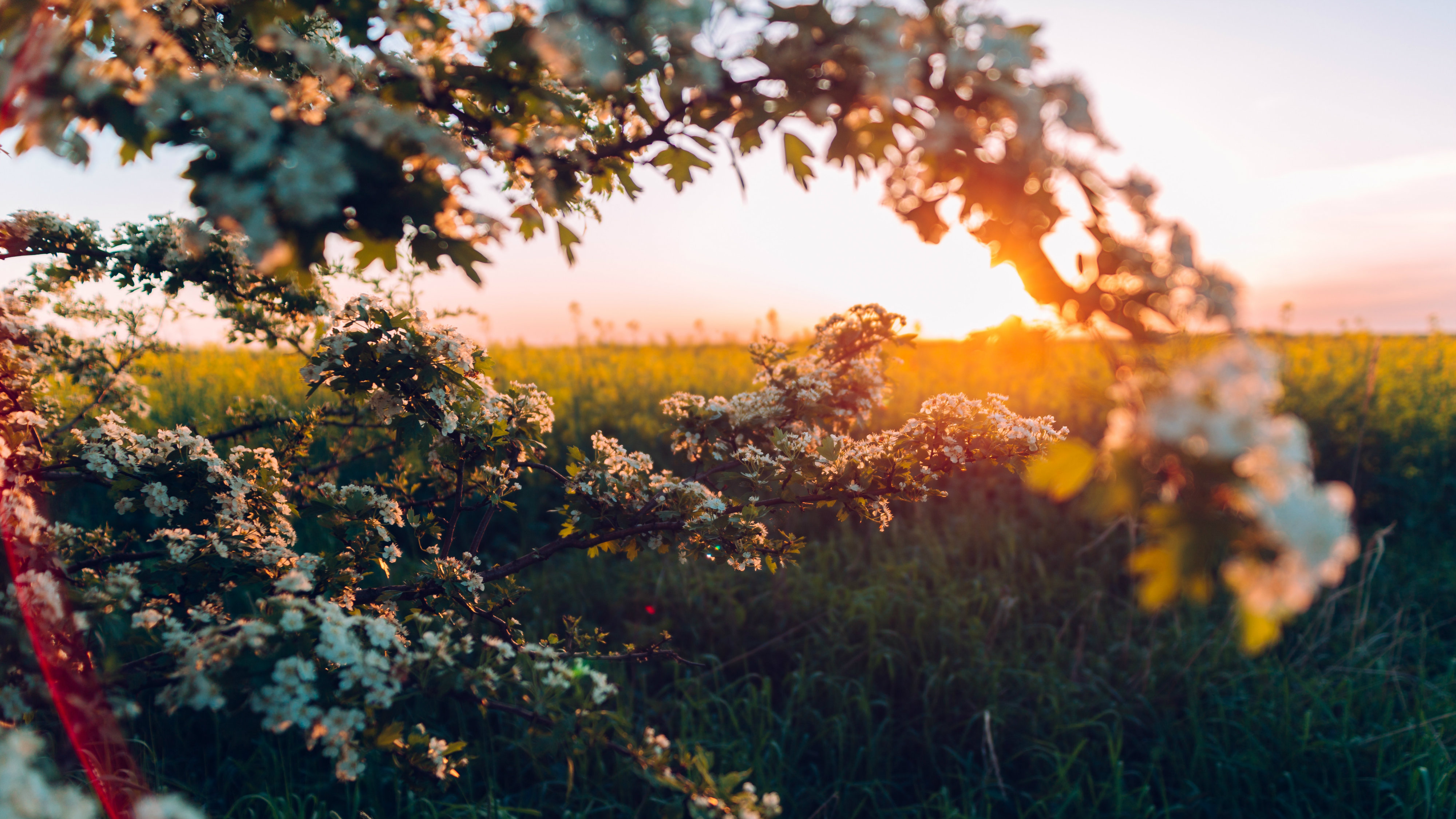 Forgiveness Is Not the Gospel