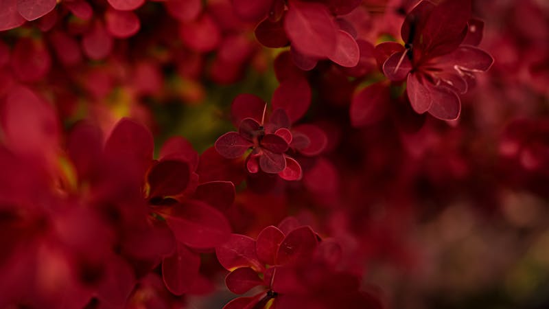 Forgiveness Is Spiritual Warfare