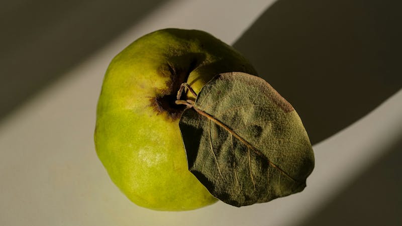 Four Tests for False Teaching