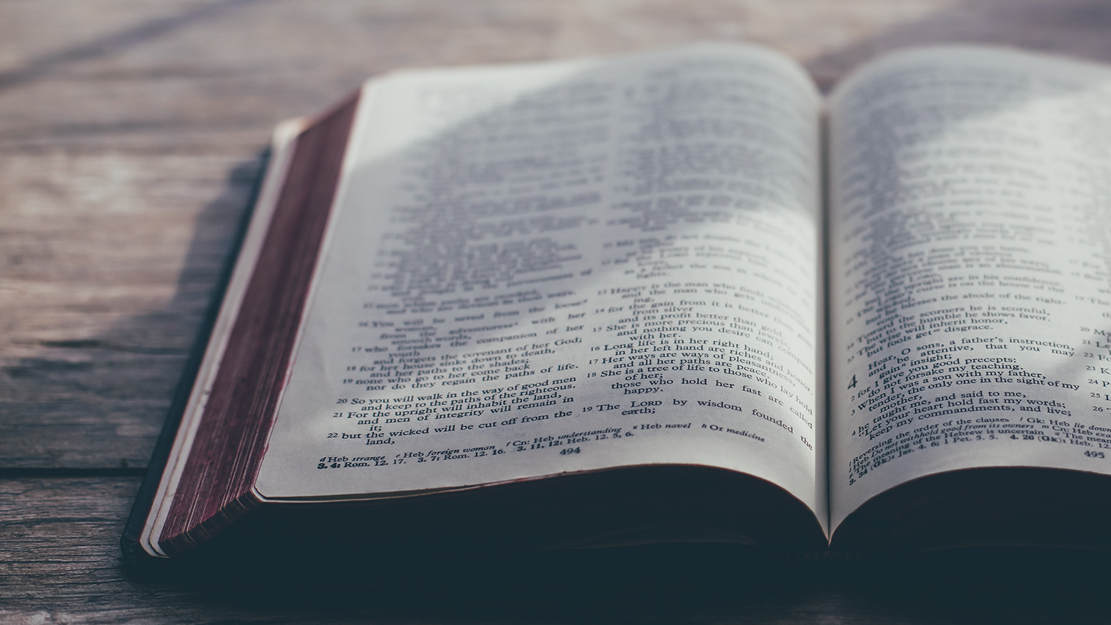 Get More from the Bible This Year: Six Marks of Mature Reading - Vimarsana News