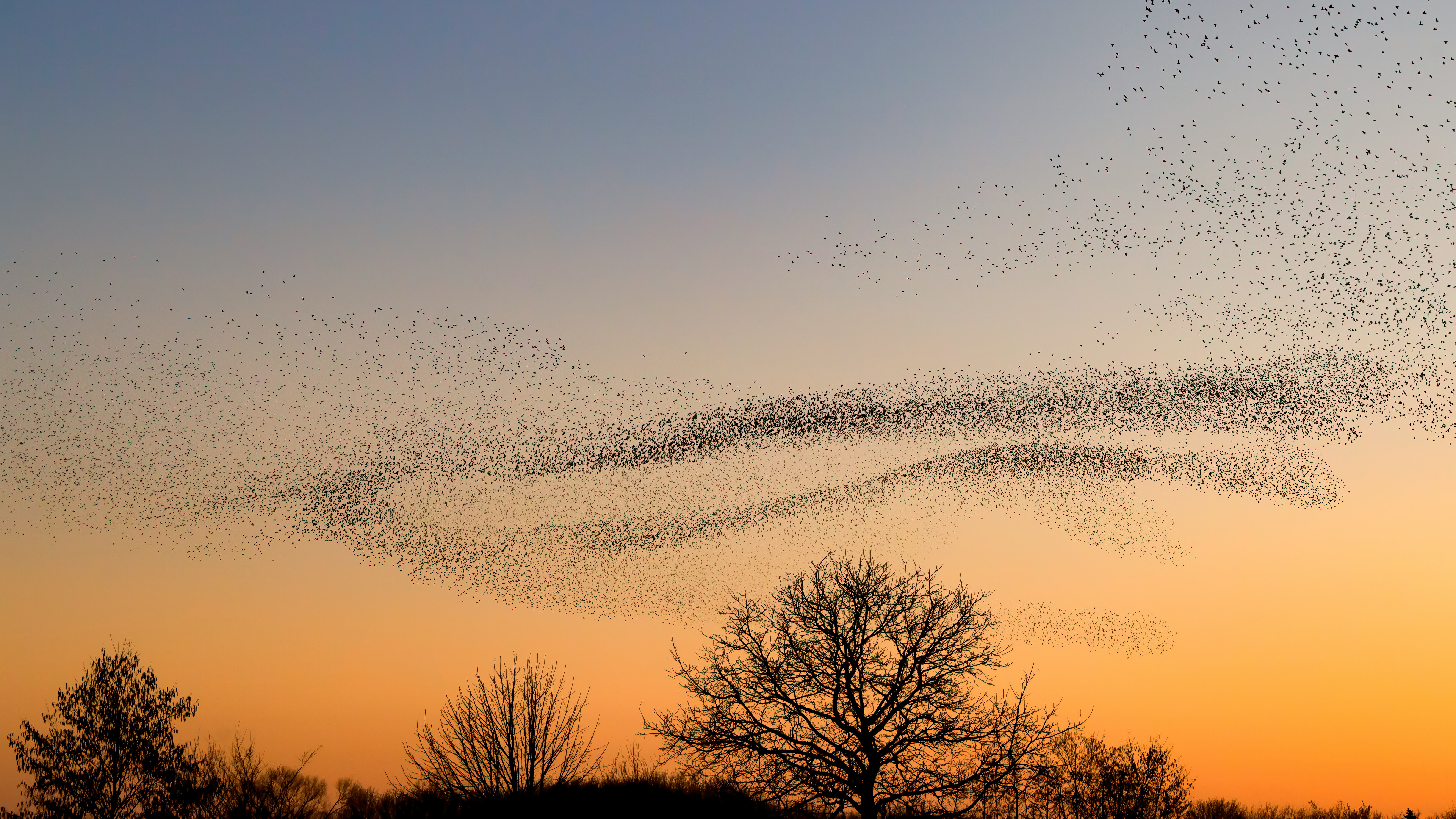 Give Thanks for Abundance — and Beware