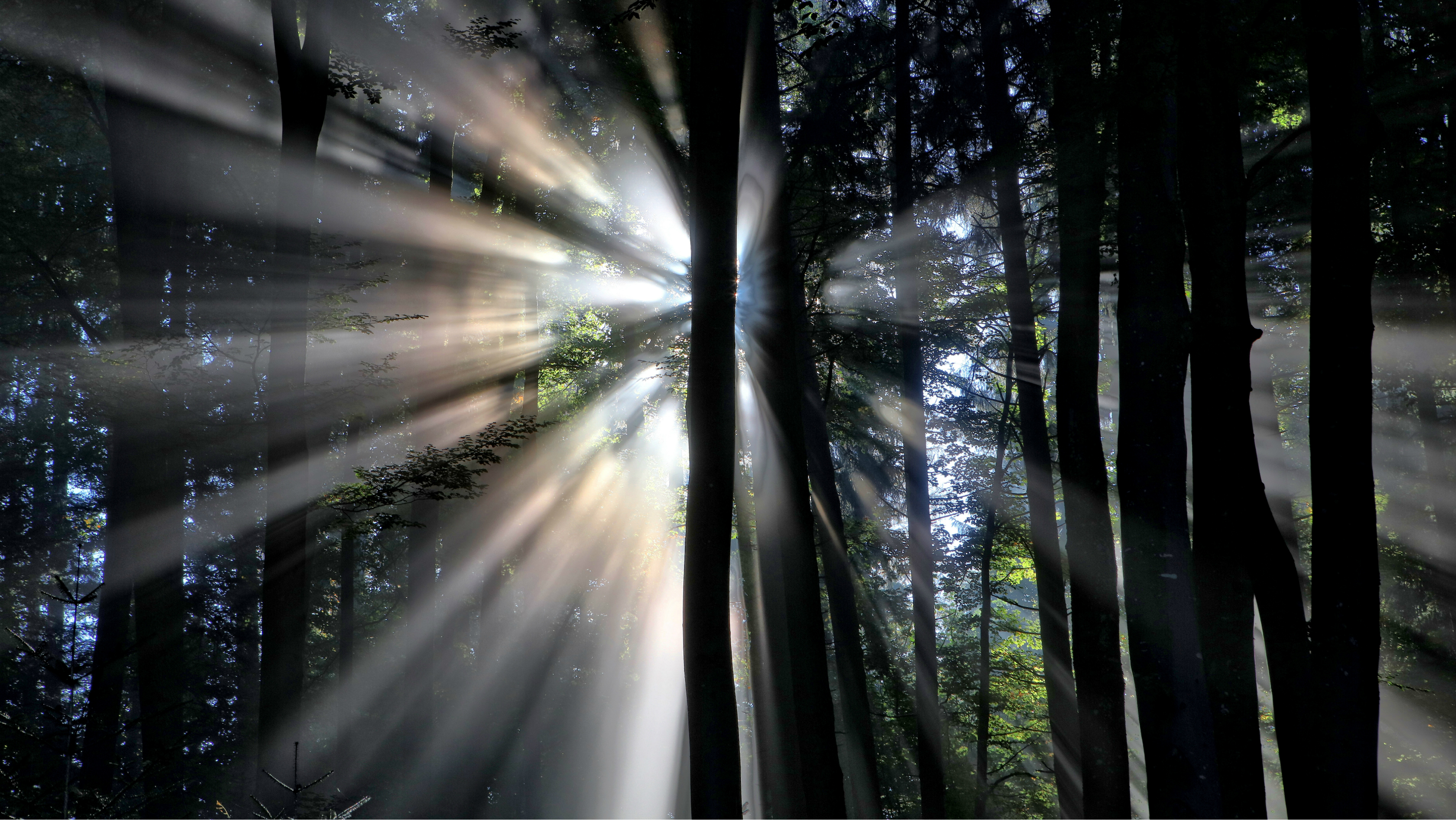 God Made You Alive for God