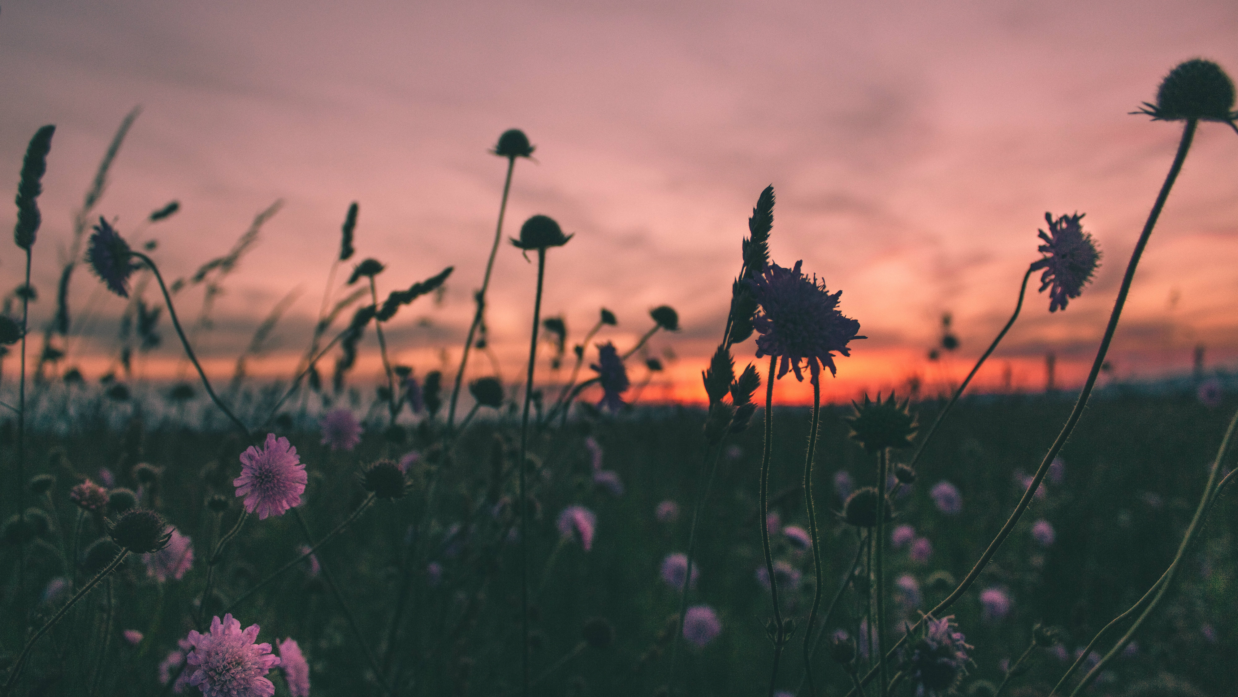 God’s Passion for His Glory