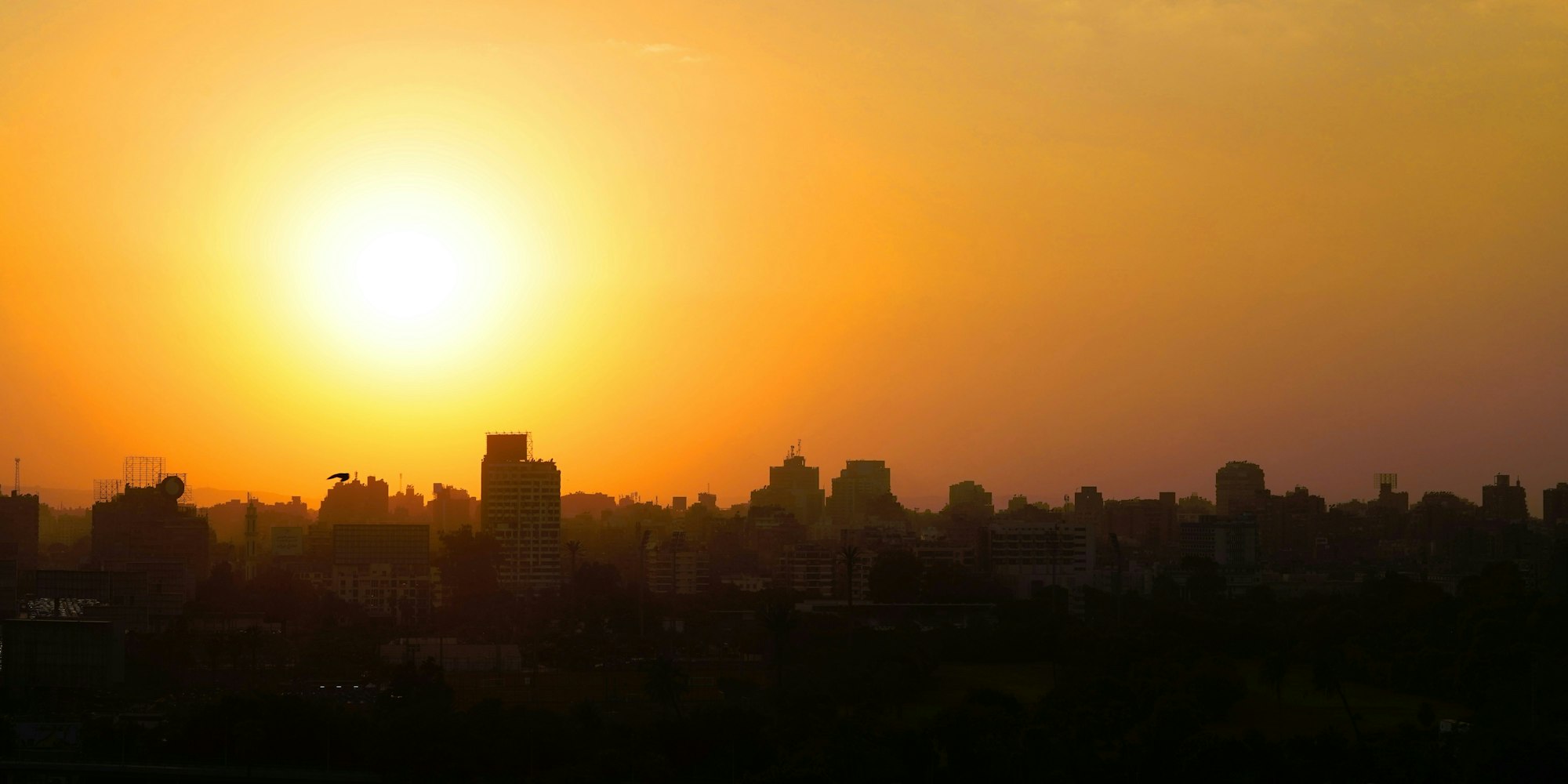 god-still-visits-egypt-reformation-in-the-making-desiring-god