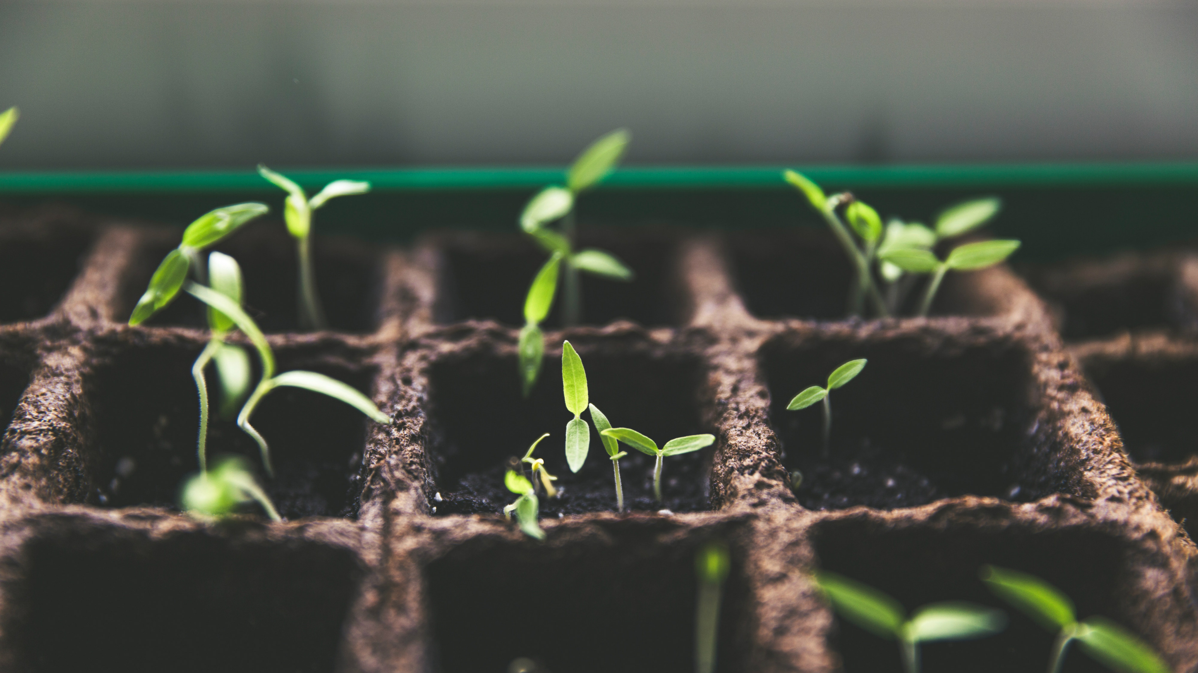 God Strengthens Us by the Gospel