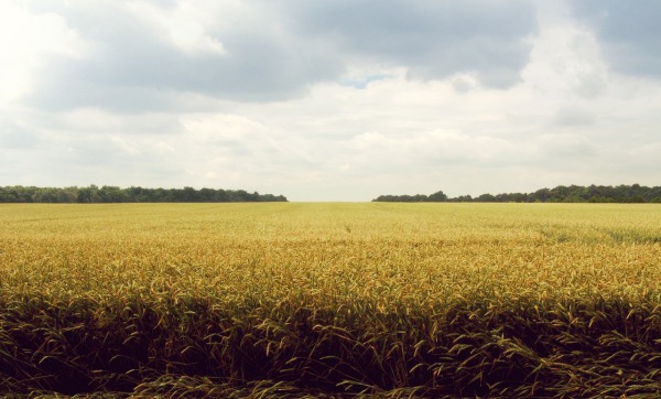 God Will Give You Everything You Need