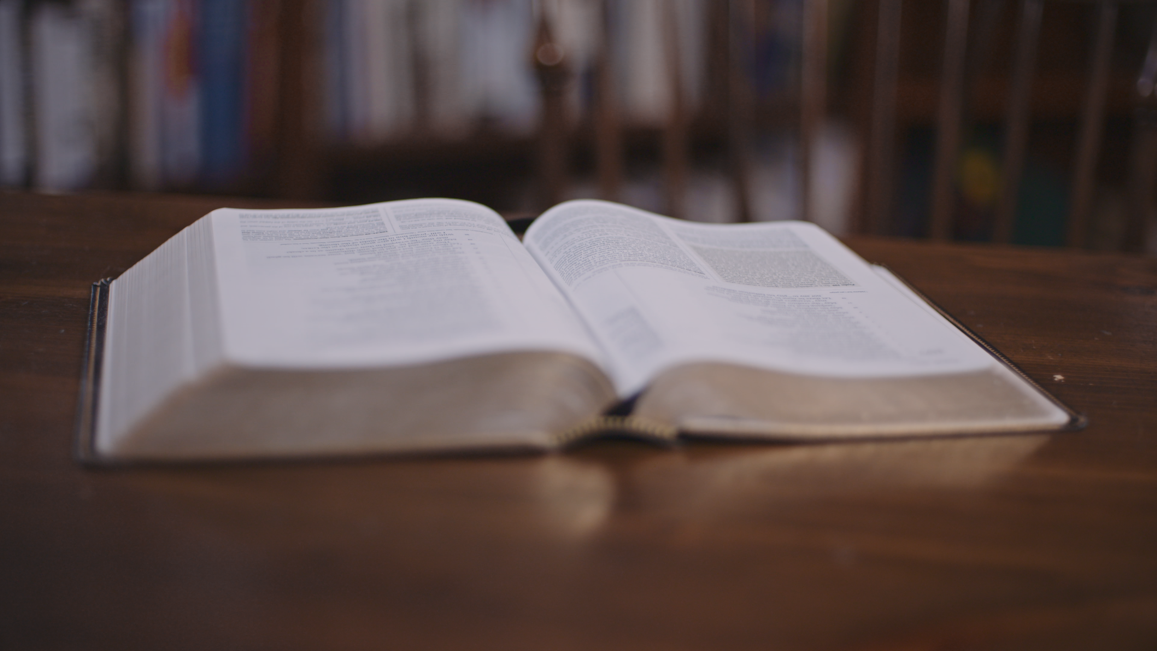 God Will Give You Understanding