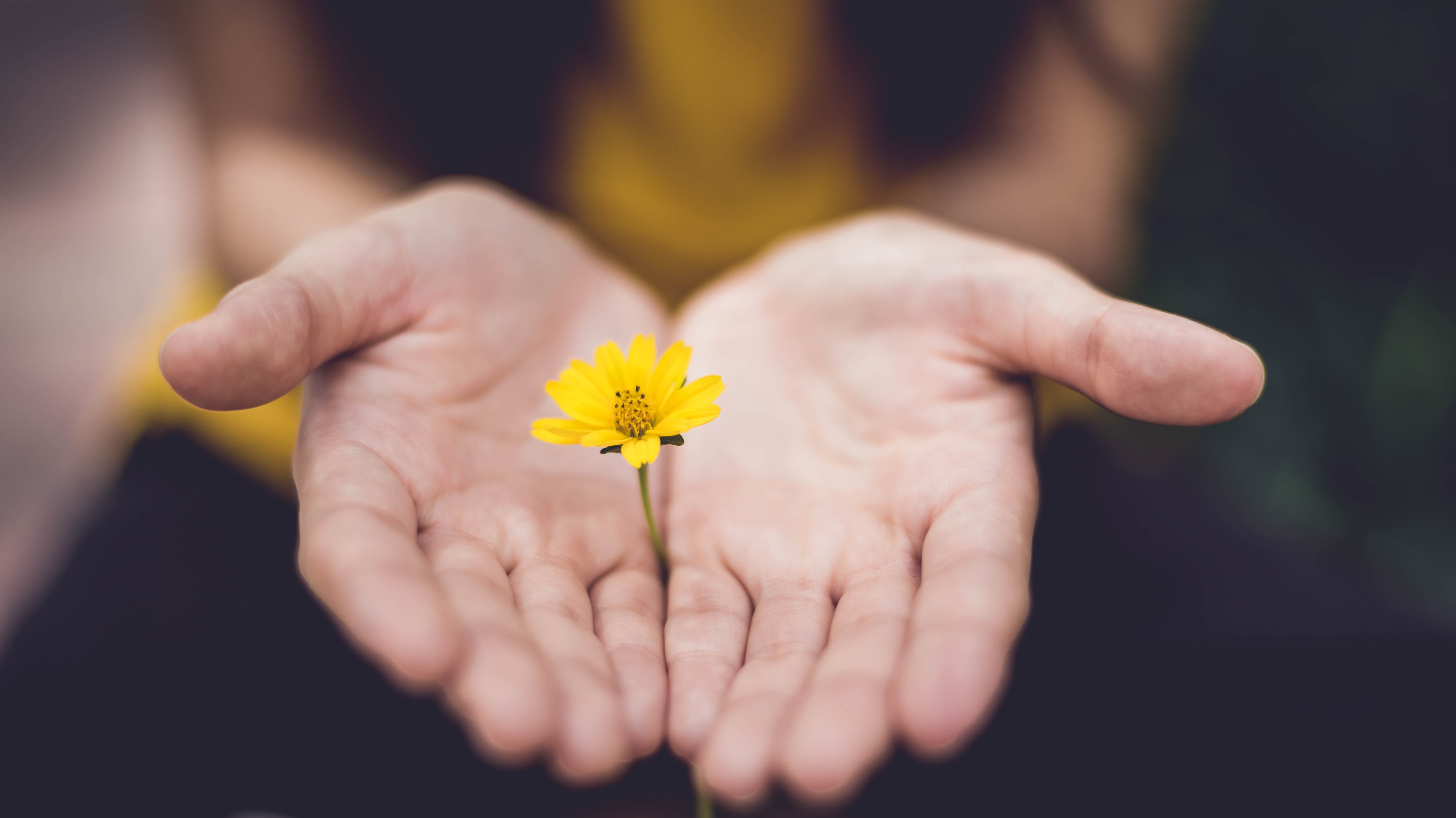 Happy in Hope, Patient in Pain, Constant in Prayer