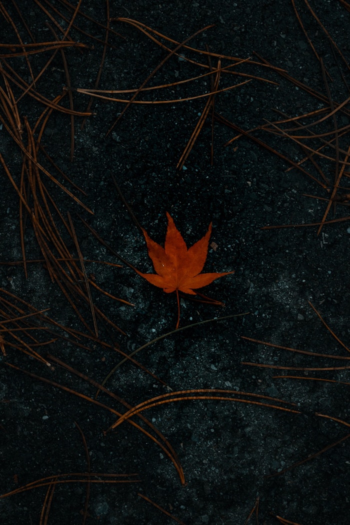 Has God Withheld Good From Me Desiring God Has God Withheld Good From Me Desiring God