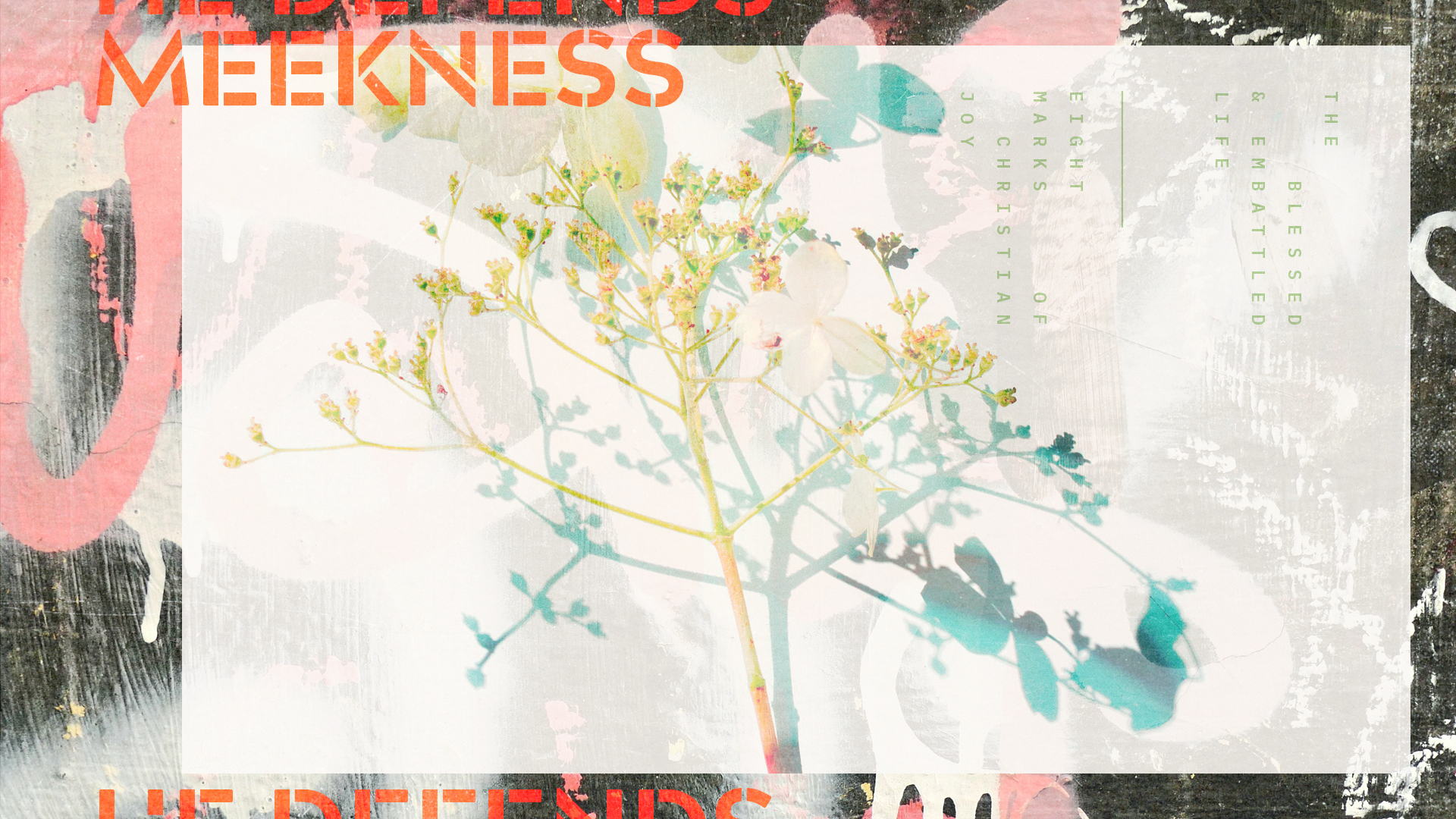 He Defends Our Meekness with Might