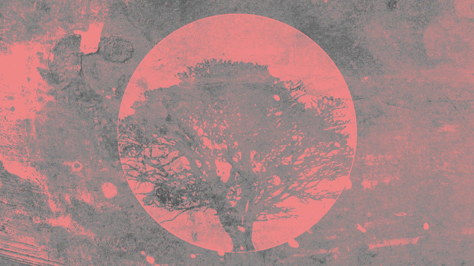 Resources On Psalm 22 Desiring God resources-on-psalm-22-desiring-god