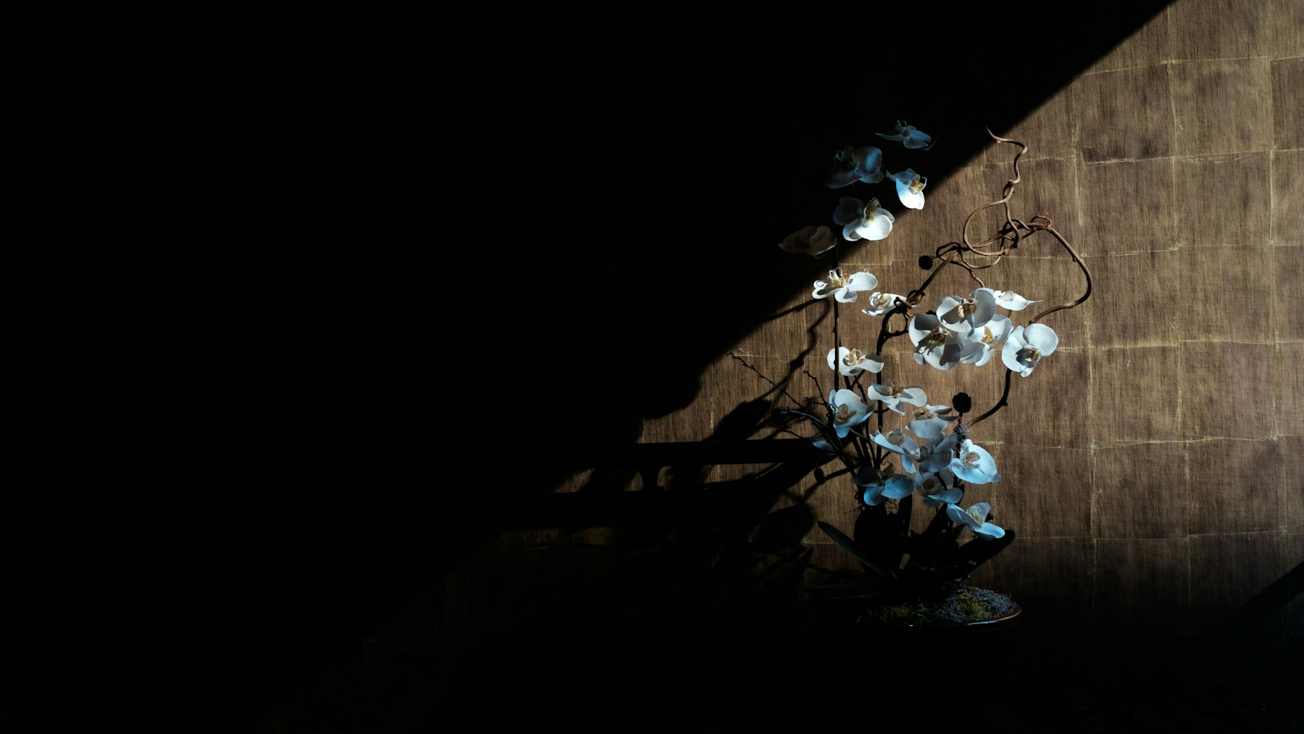 Suffering Revealed How Weak I Was What I Learned from