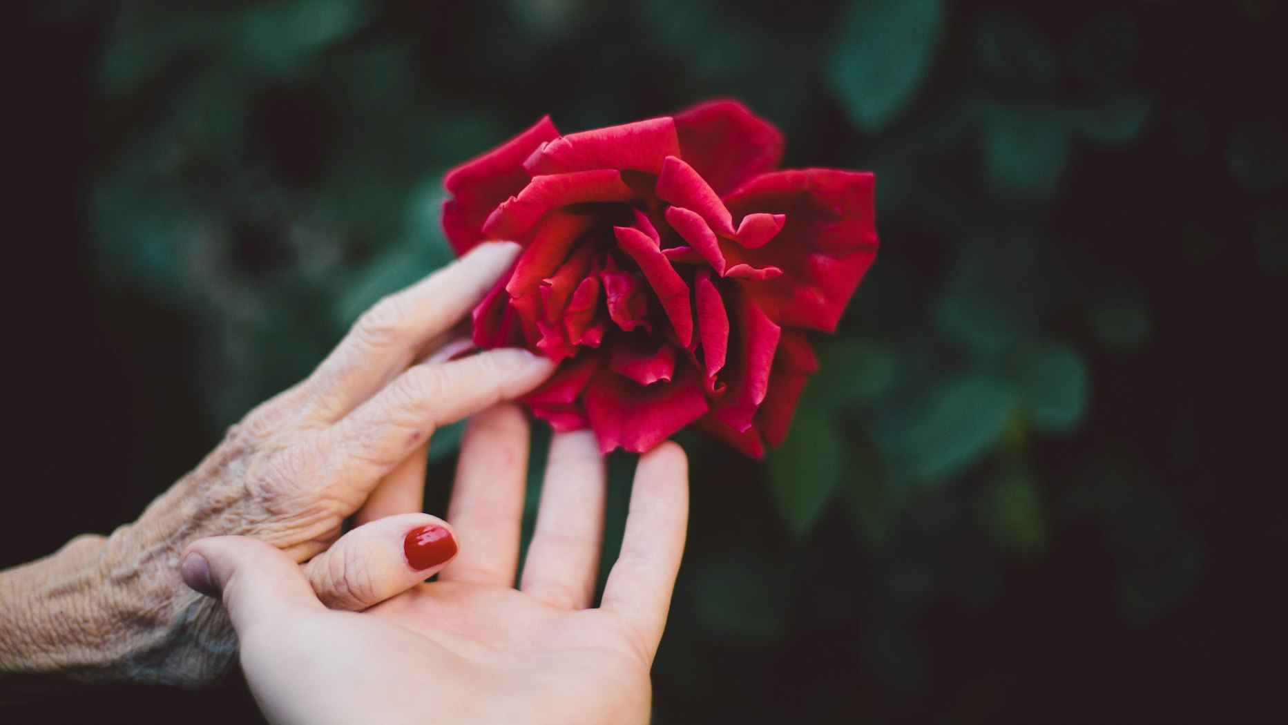 Her Faith Now Lives In Me: The Gift Of A God-Fearing Grandma | Desiring God