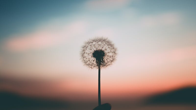 How Do I Find Freedom from Worry?