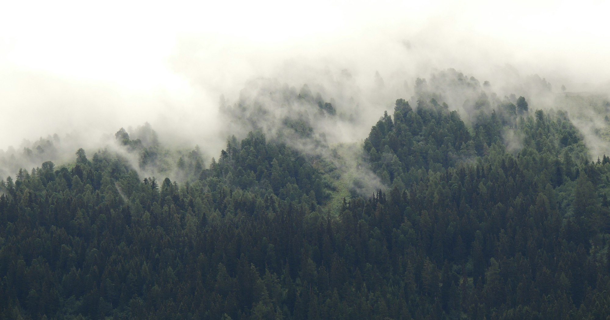 How Does It Glorify God to Predestine People to Hell? | Desiring God