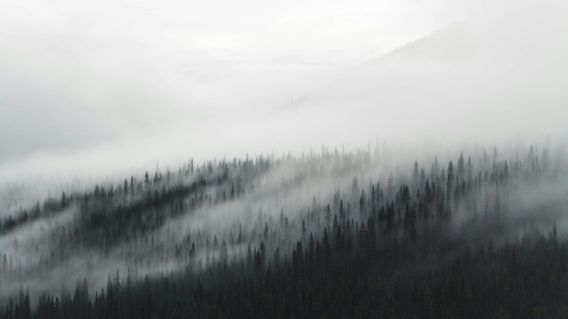 Image result for Salvation