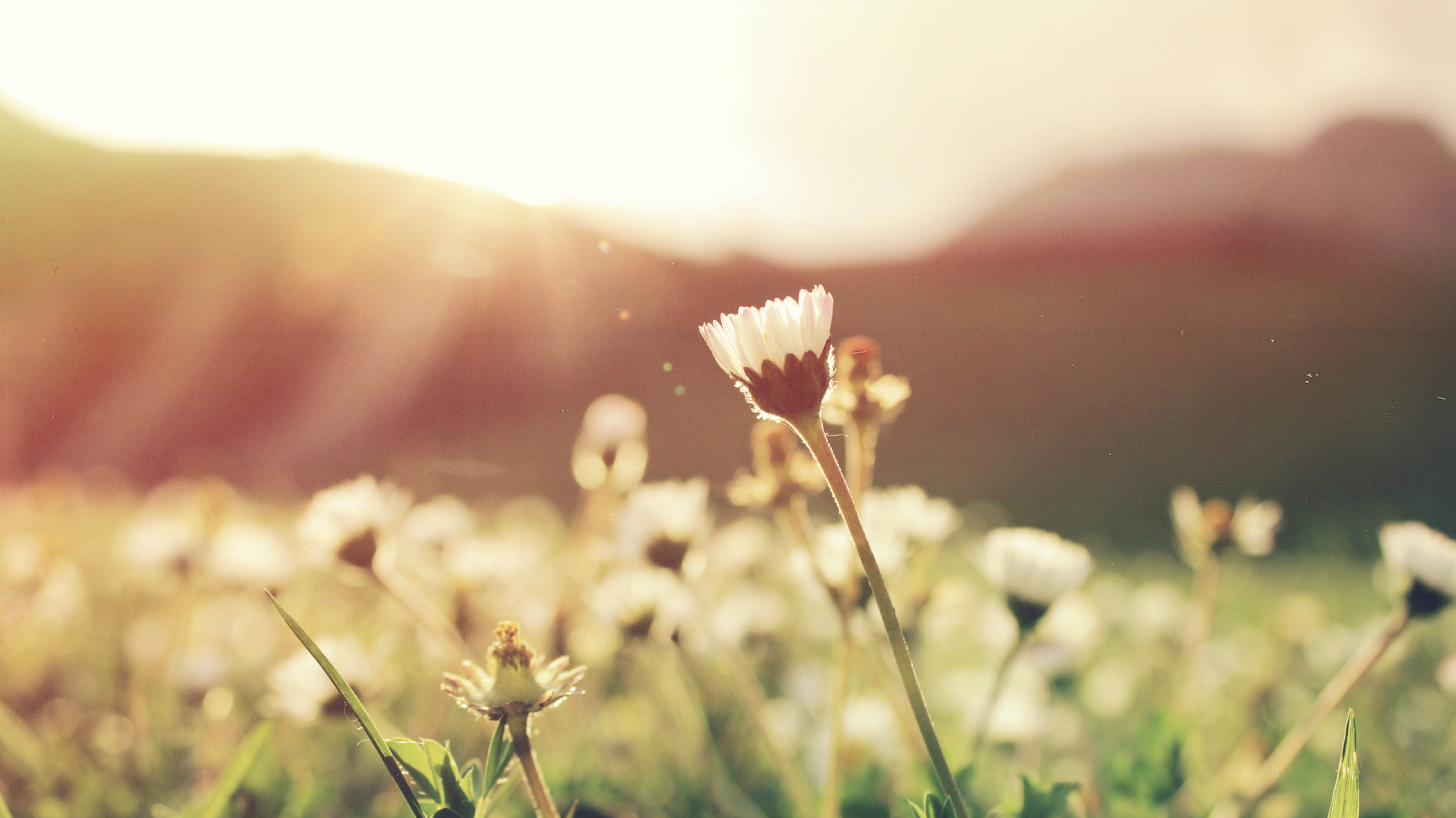 How God Makes Us Alive