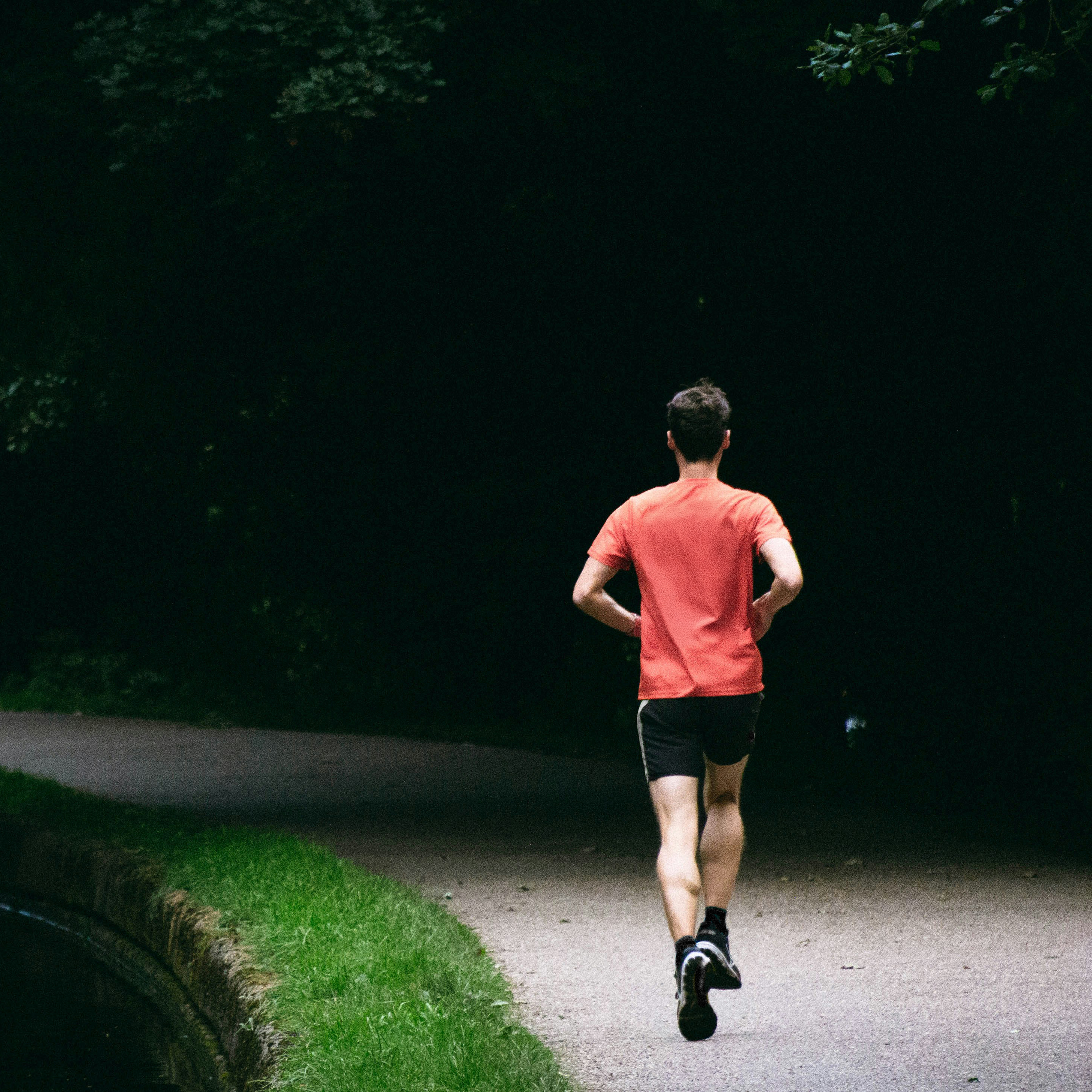 How Healthy Is Your Pursuit of Health?