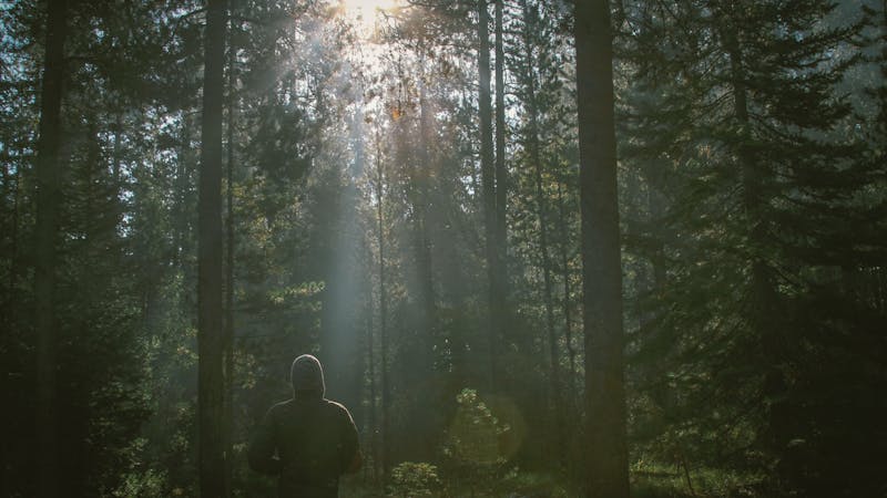 We Honor What We Enjoy We Honor What We Enjoy