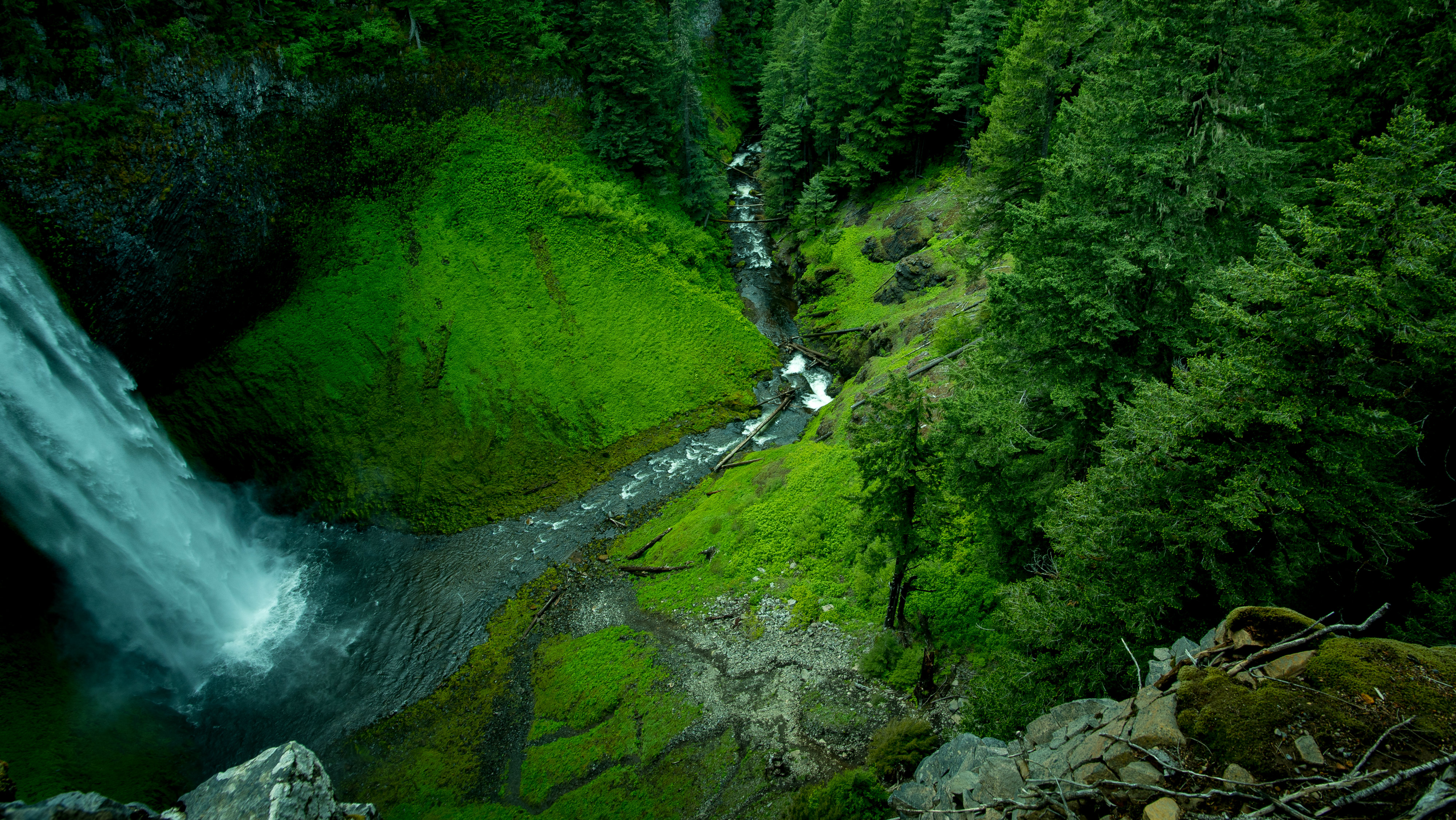 If My Words Abide in You